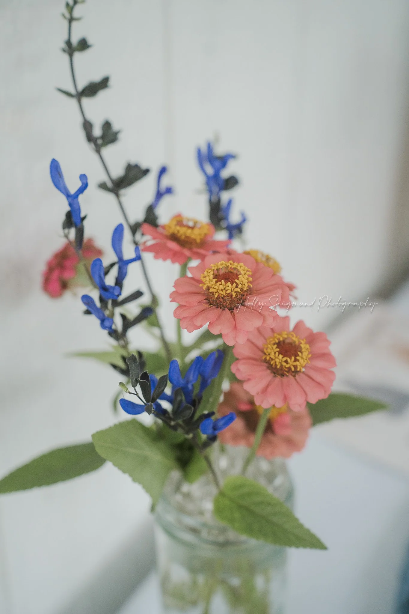 Baby shower photography services in Central Texas with candid moments