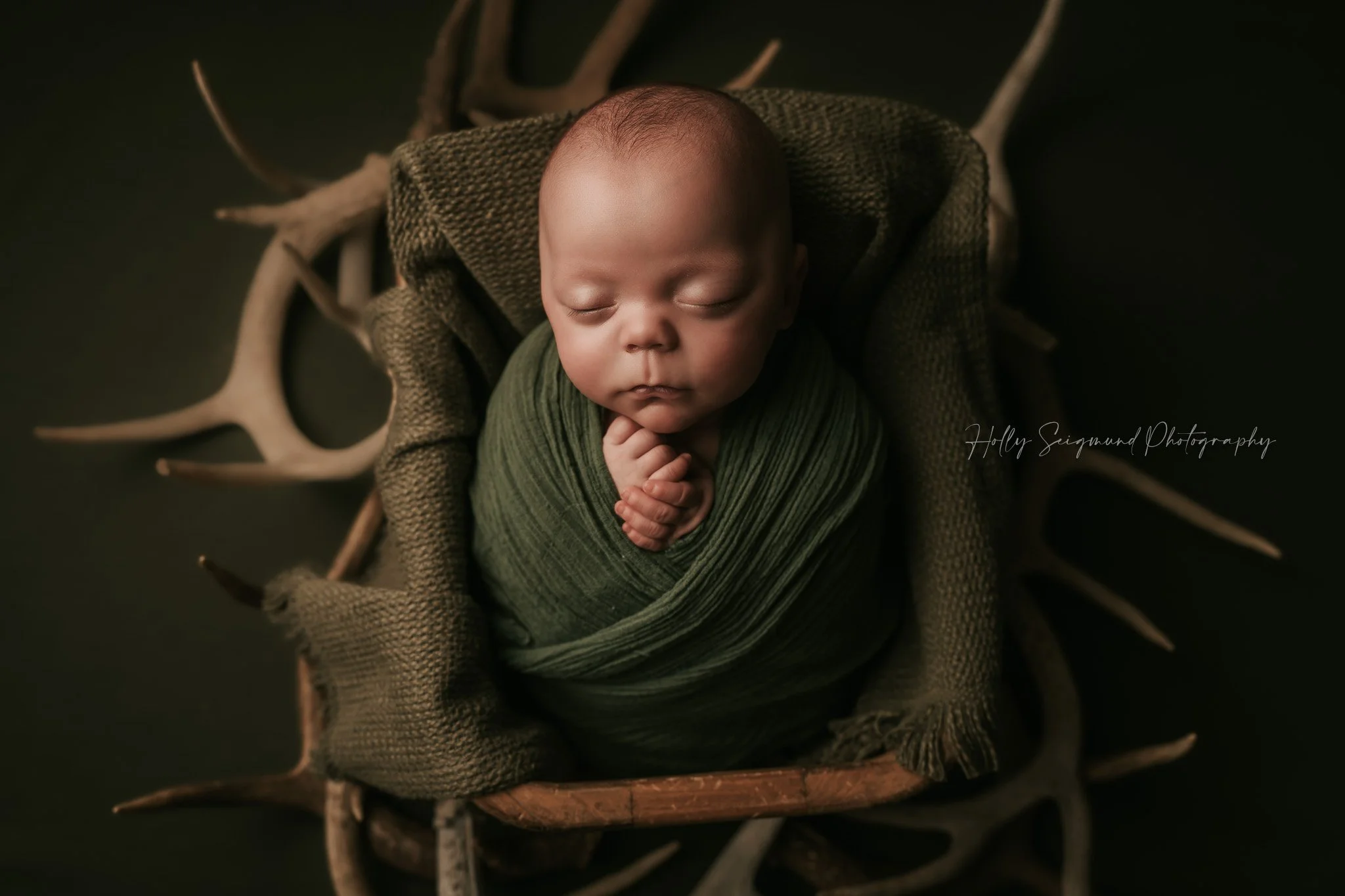 78947-newborn-photography-deer-antlers.jpg