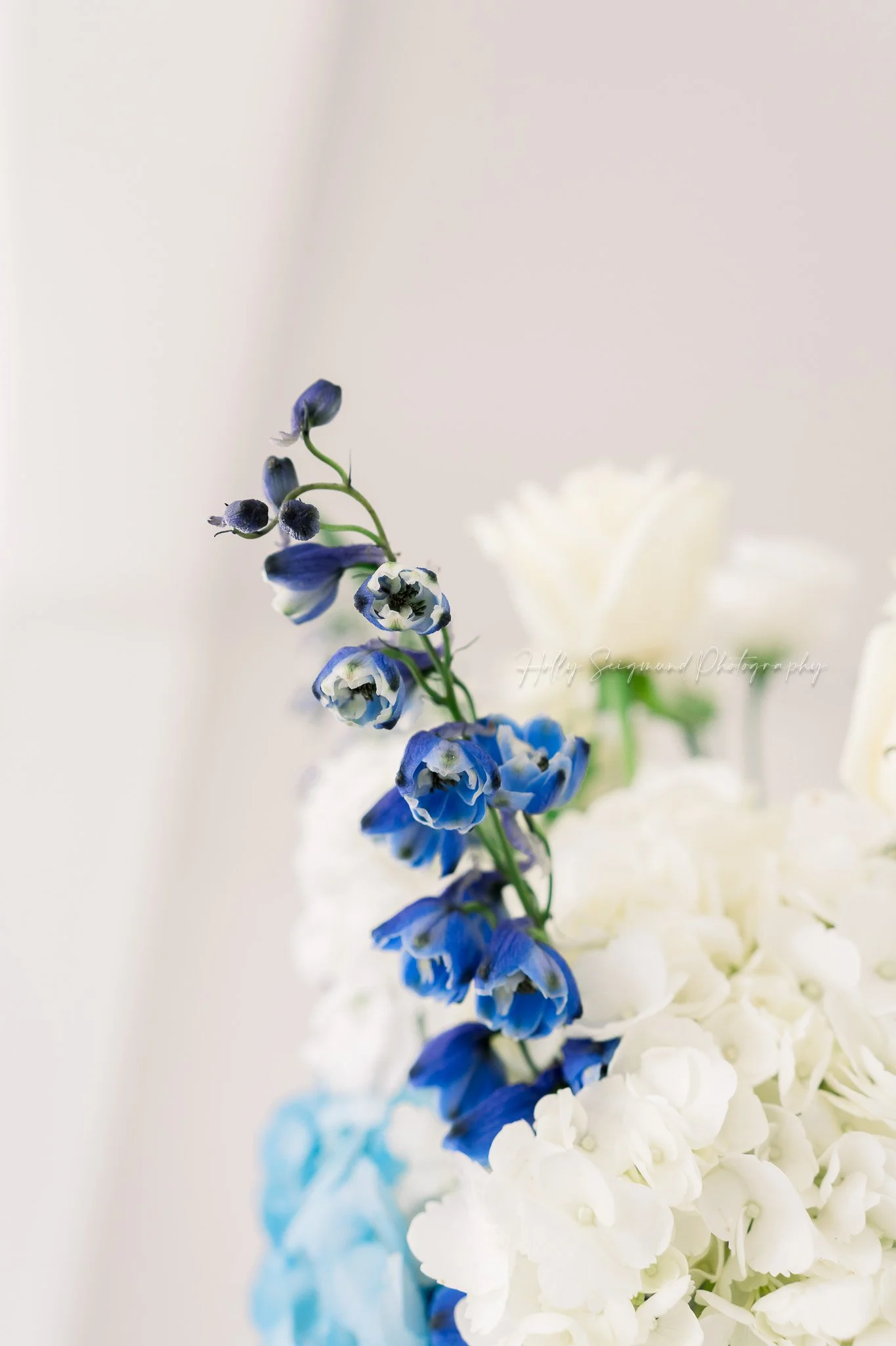 01-wedding-photos-central-texas-kiesling-ranch.jpg