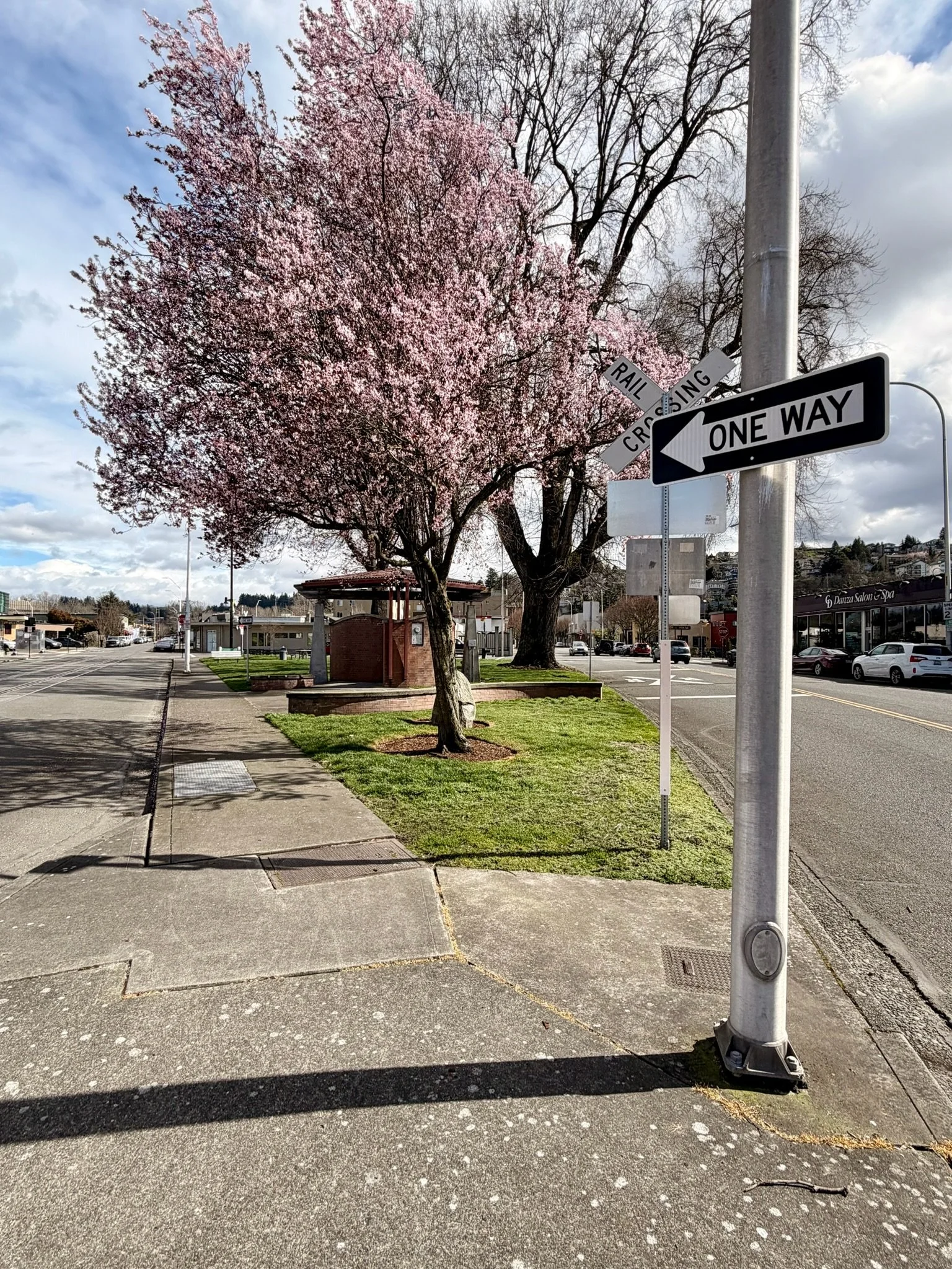 A pink flowering tree next to a sidewalk with street signs and parked cars in the background on a partly cloudy day.