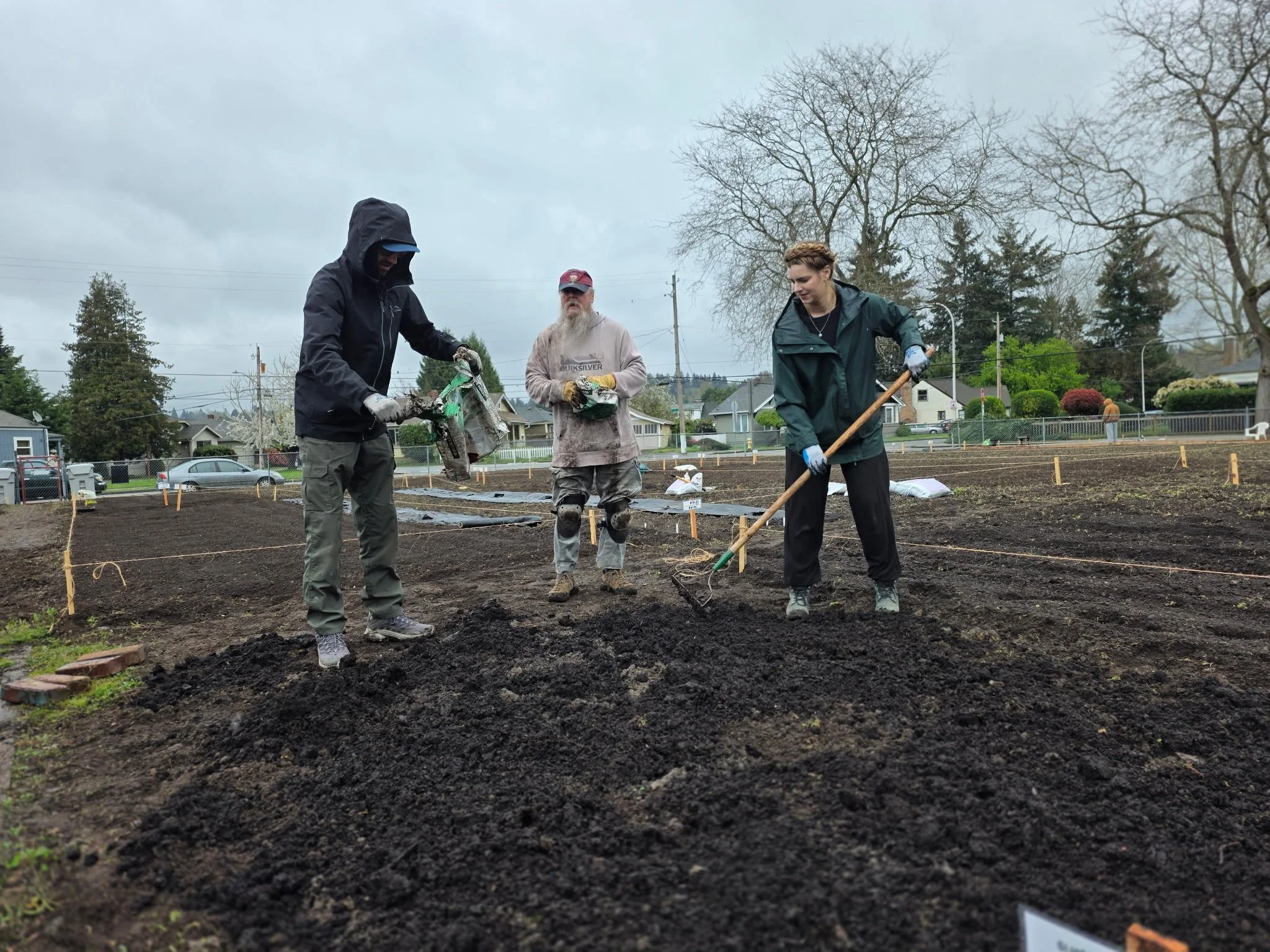 Three people working on a garden bed outdoors, planting or preparing soil, with trees and houses in the background under a cloudy sky.