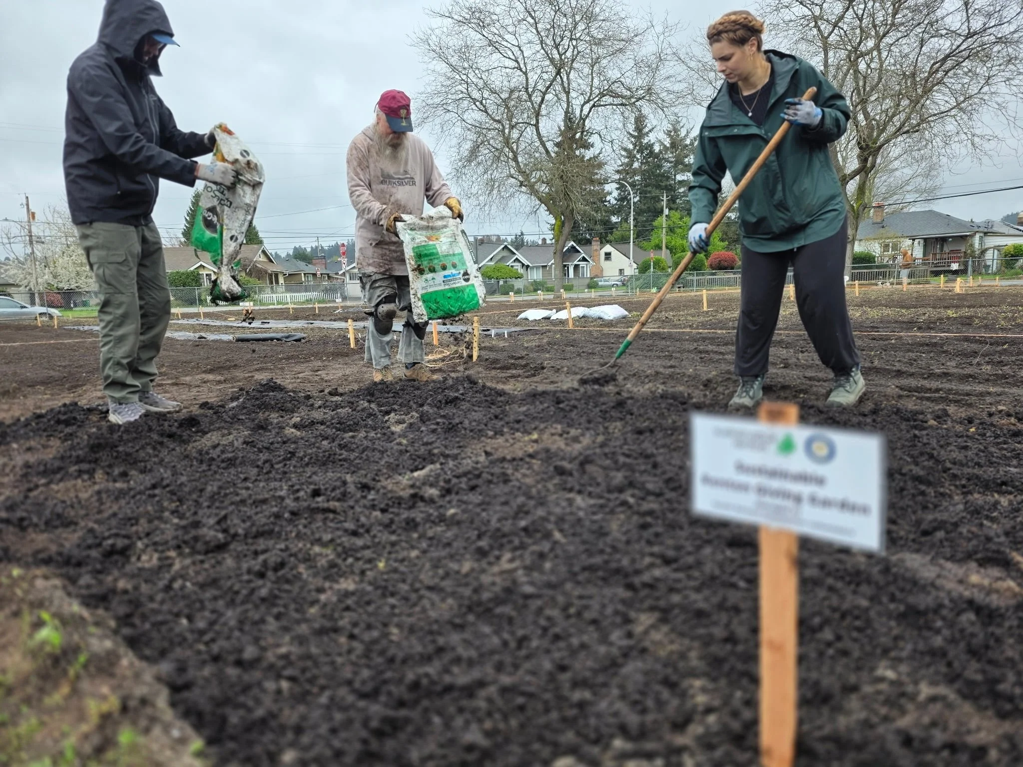 Three people working in a garden plot on a cloudy day, planting or tending to soil, with houses and trees in the background.