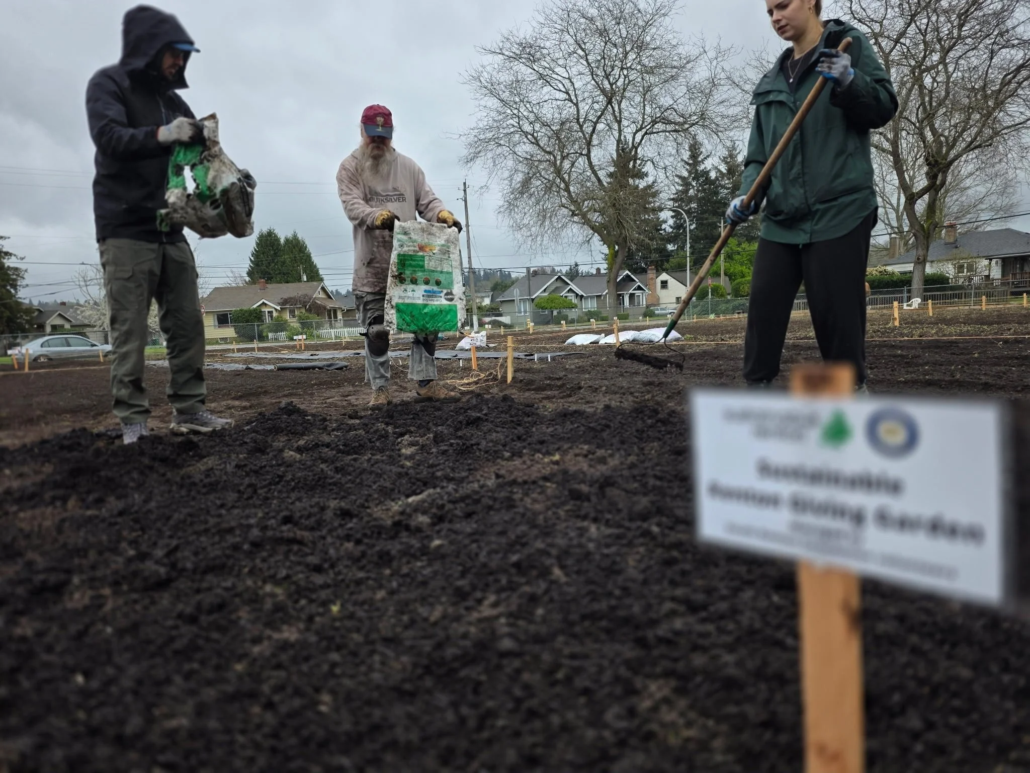 People working in a garden or farm, digging and planting in the soil, with houses and trees in the background, overcast sky.