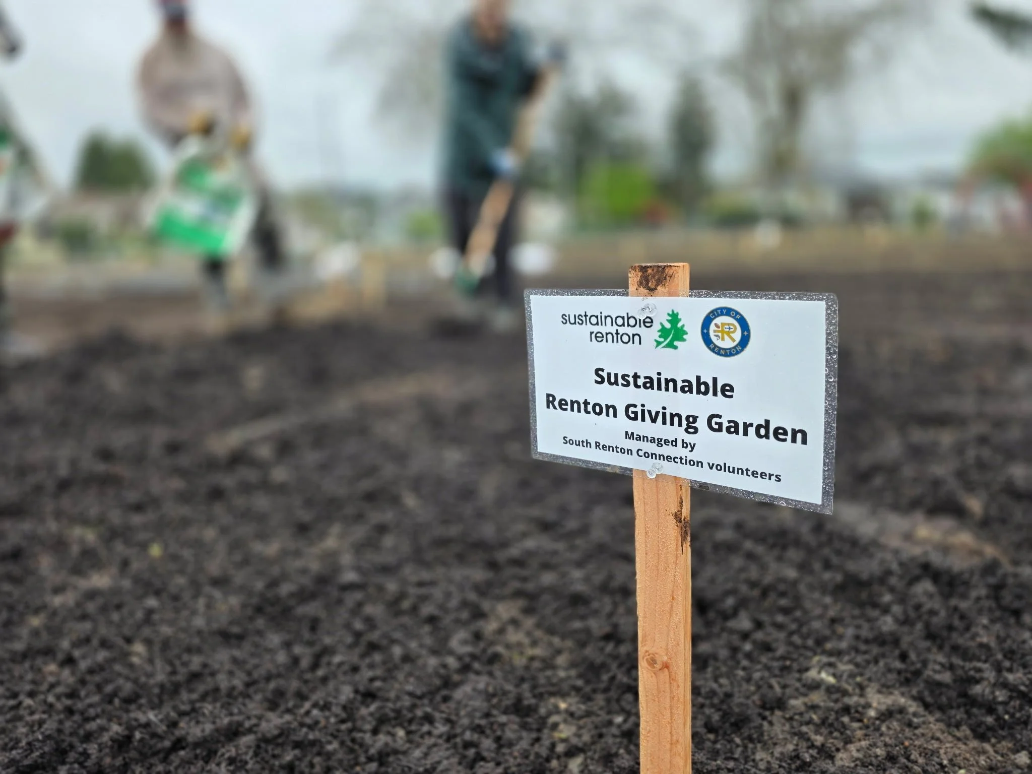 A wooden sign in a garden reads 'Sustainable Renton Giving Garden' with logos and text about community volunteers, with people working in the background.