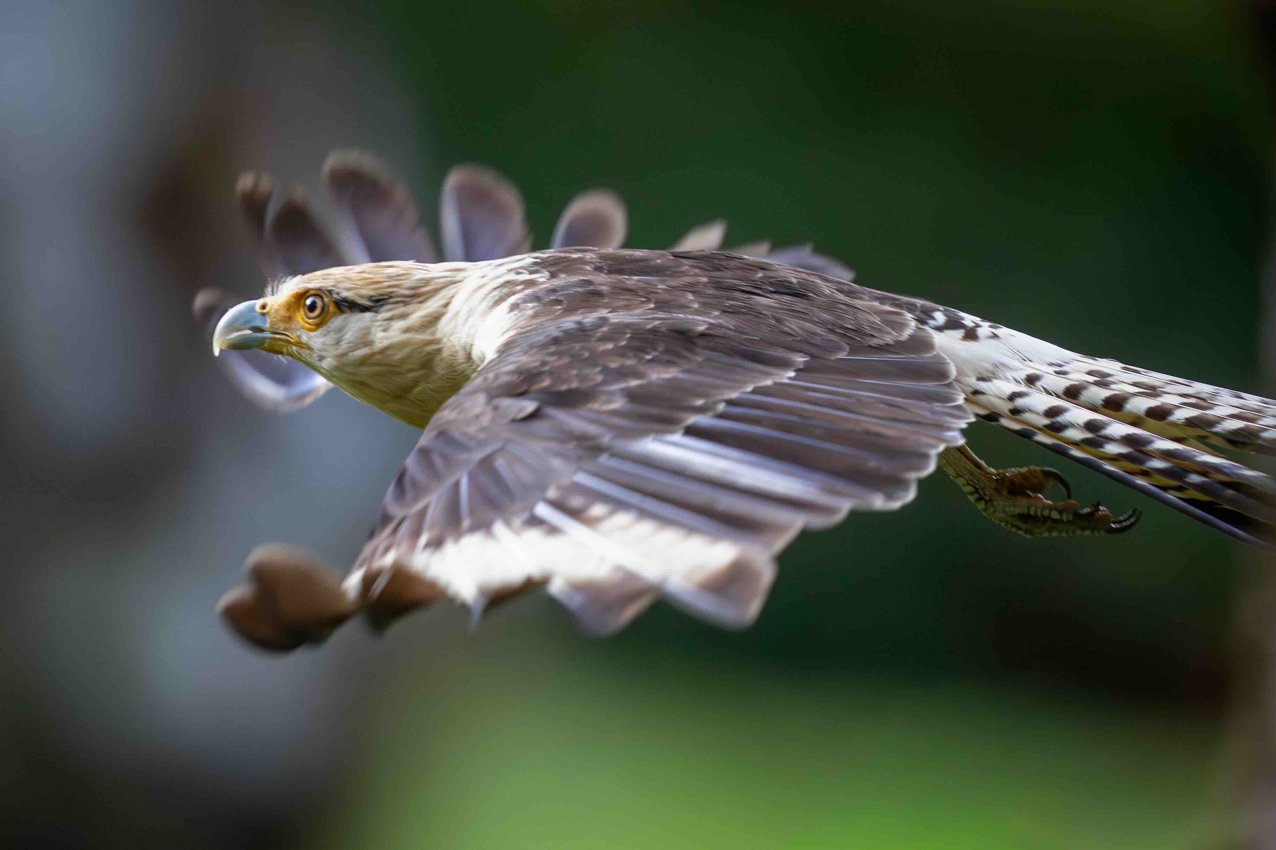 3:2 format Black Hawk SKU 5112984