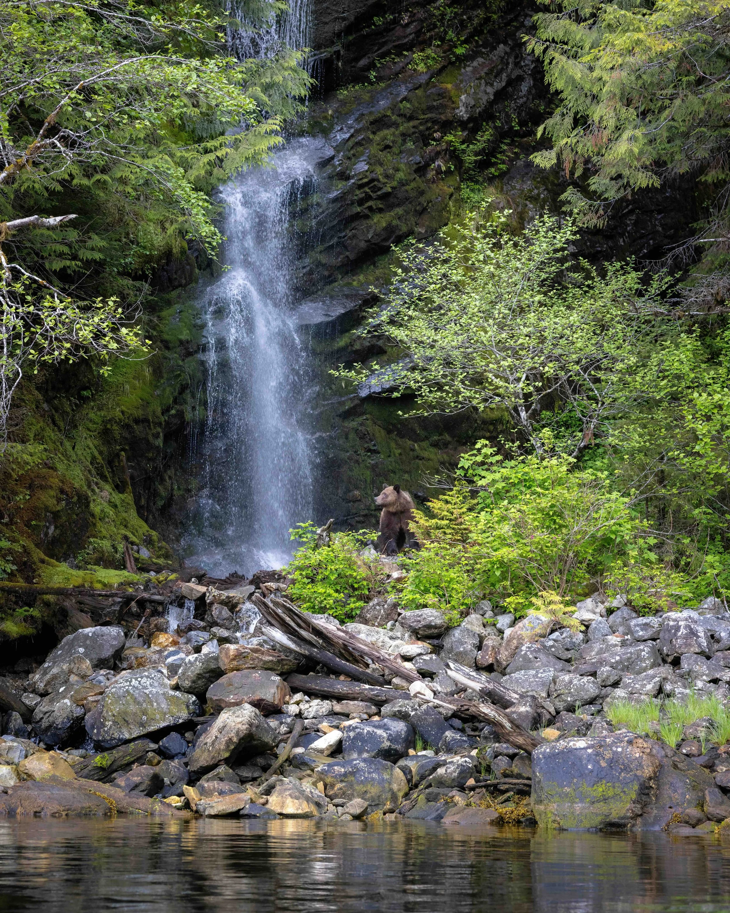 Grizzly waterfall SKU 14596 - 2.8 MB copy.jpeg