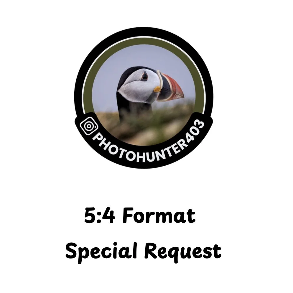 5-4 format Special Order - Critter Pics for Charity.jpg