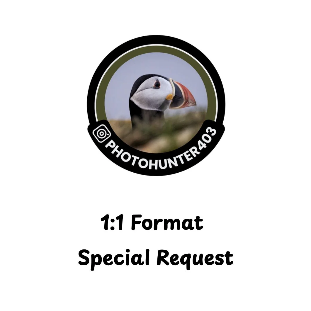 1-1 format Special Order - Critter Pics for Charity.jpg