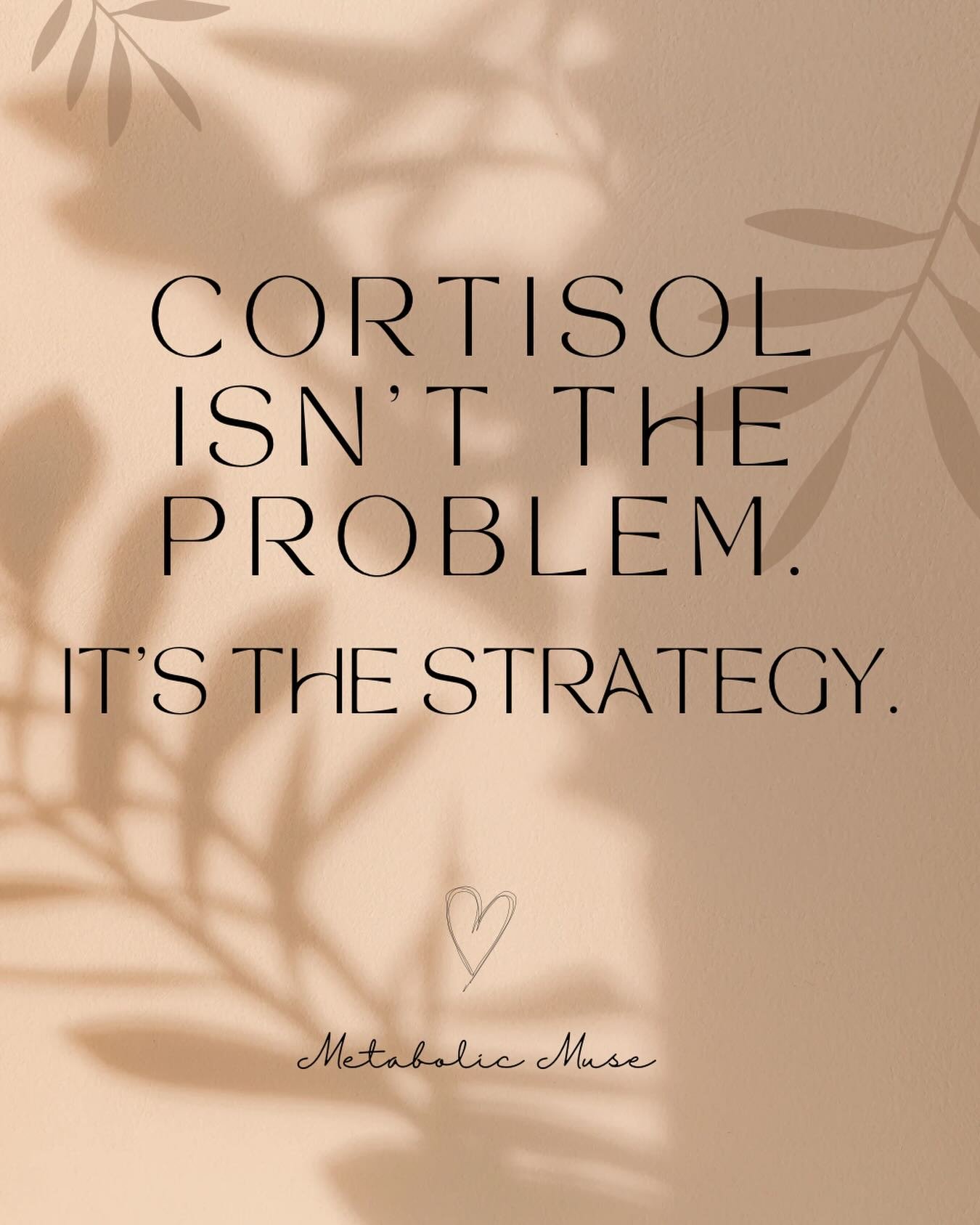 Cortisol isn&rsquo;t the problem.
It&rsquo;s the strategy.

It rises and falls in response to what the body has been asked to carry.

When I look at cortisol, I&rsquo;m not asking if it&rsquo;s high or low.
I&rsquo;m asking what the body has needed i