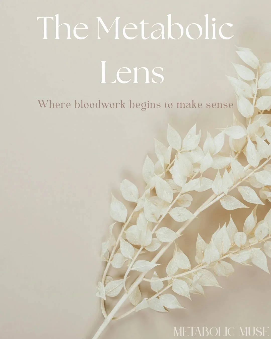 The difference isn&rsquo;t just the lab panel.
It&rsquo;s the lens.

Anyone can run labs.
Not everyone can read them in relationship.

The Metabolic Lens is a new offering for women who want clarity without committing to ongoing coaching &mdash; a wa