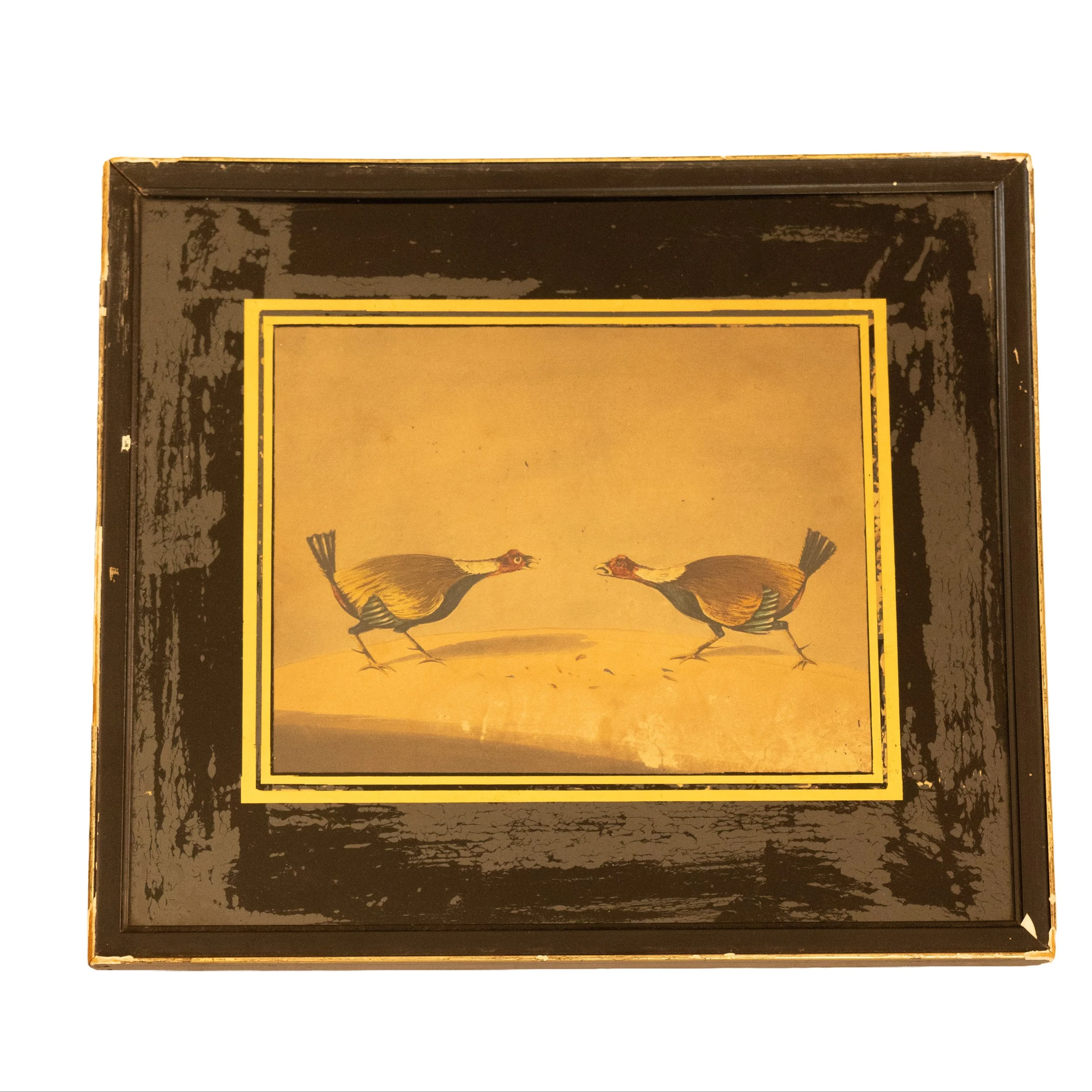 fighting gamecocks 3.jpg