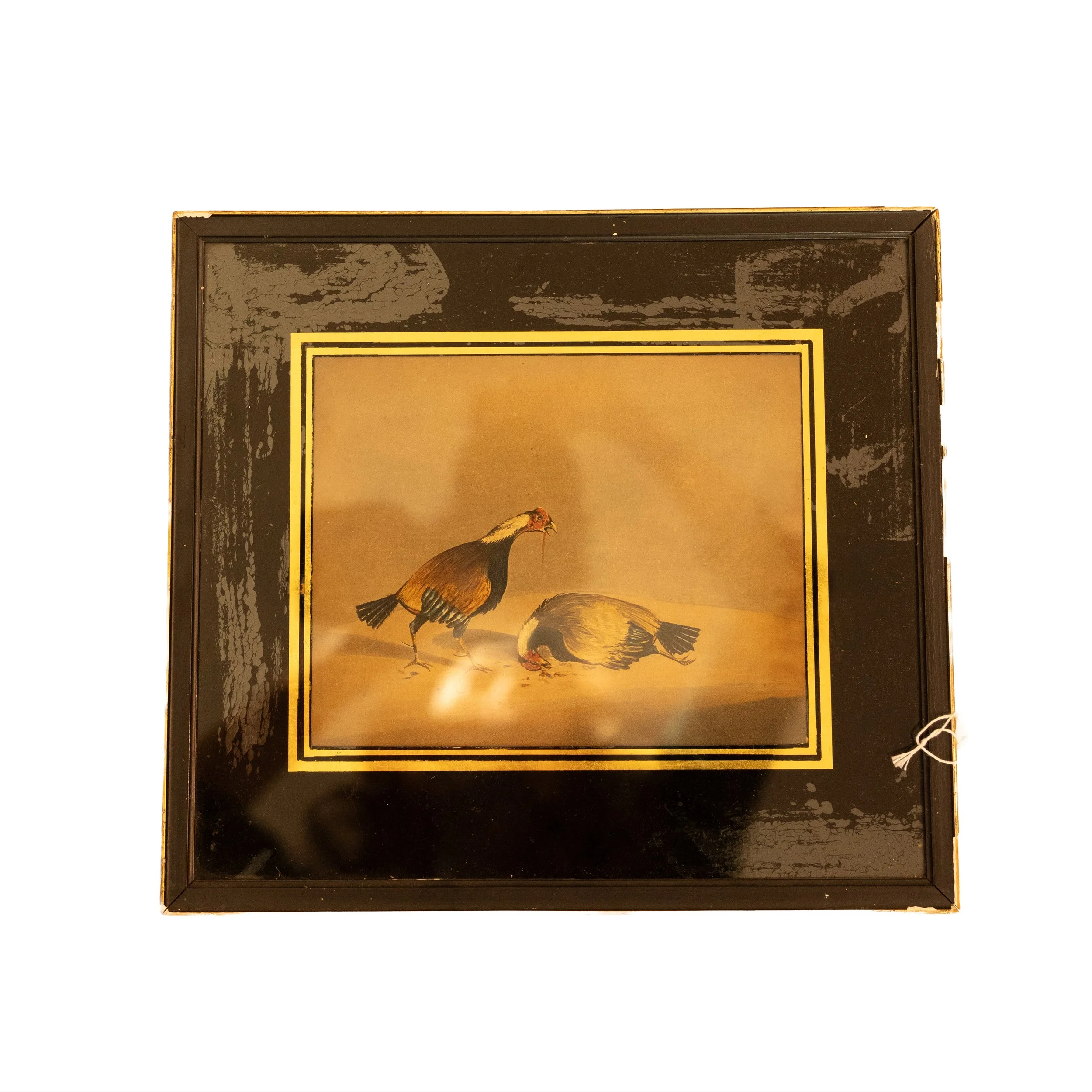 fighting gamecocks 2.jpg