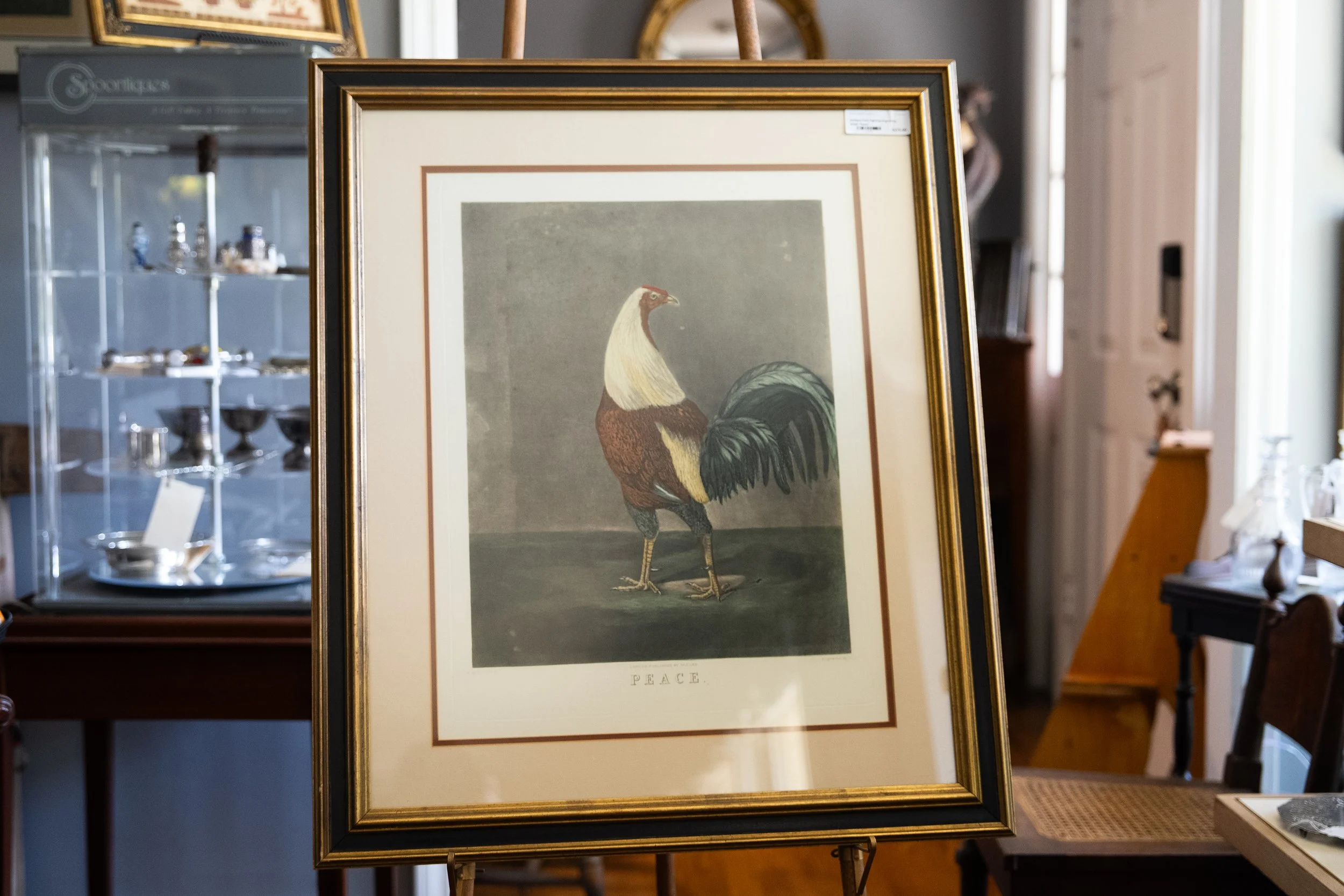 FineArt-12.jpg
