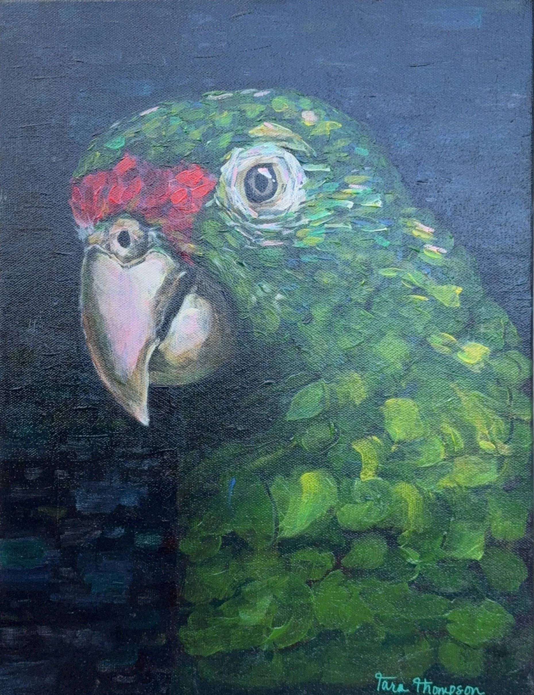 New - Treasure Keeper