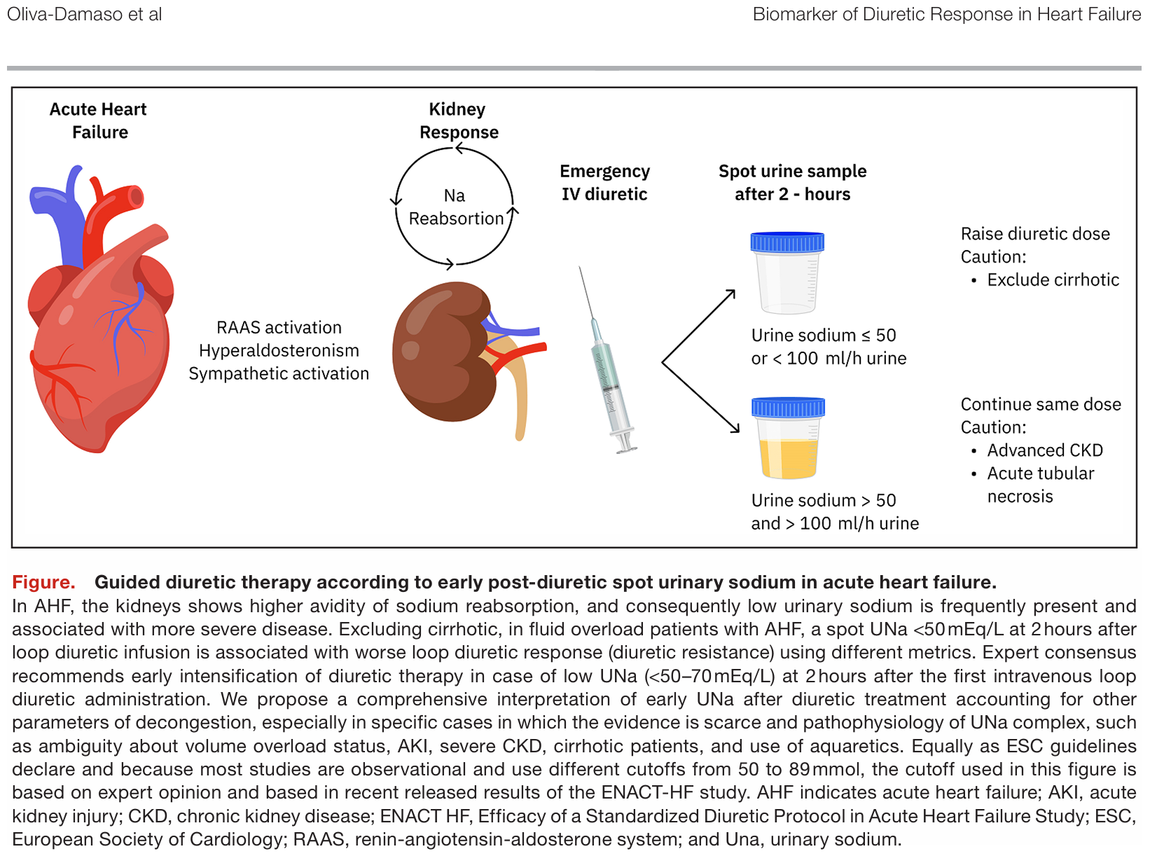 Spot Urinary Sodium as a Biomarker of Diuretic Response in Acute Heart Failure