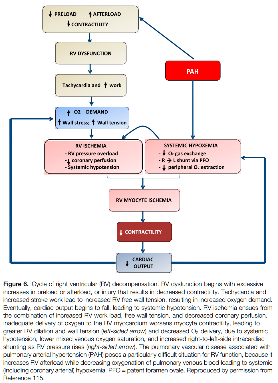 Management of Acute Right Ventricular Failure in the Intensive Care ...