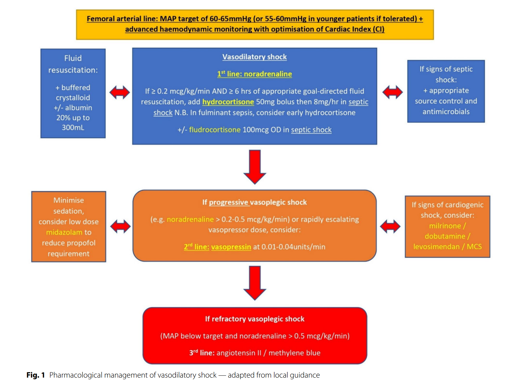 Refractory septic shock: our updated pragmatic approach