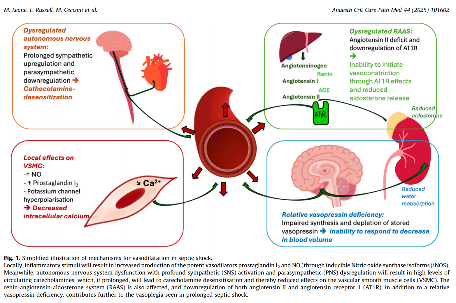 Hemodynamic failure during sepsis : what clinicians and researchers must know