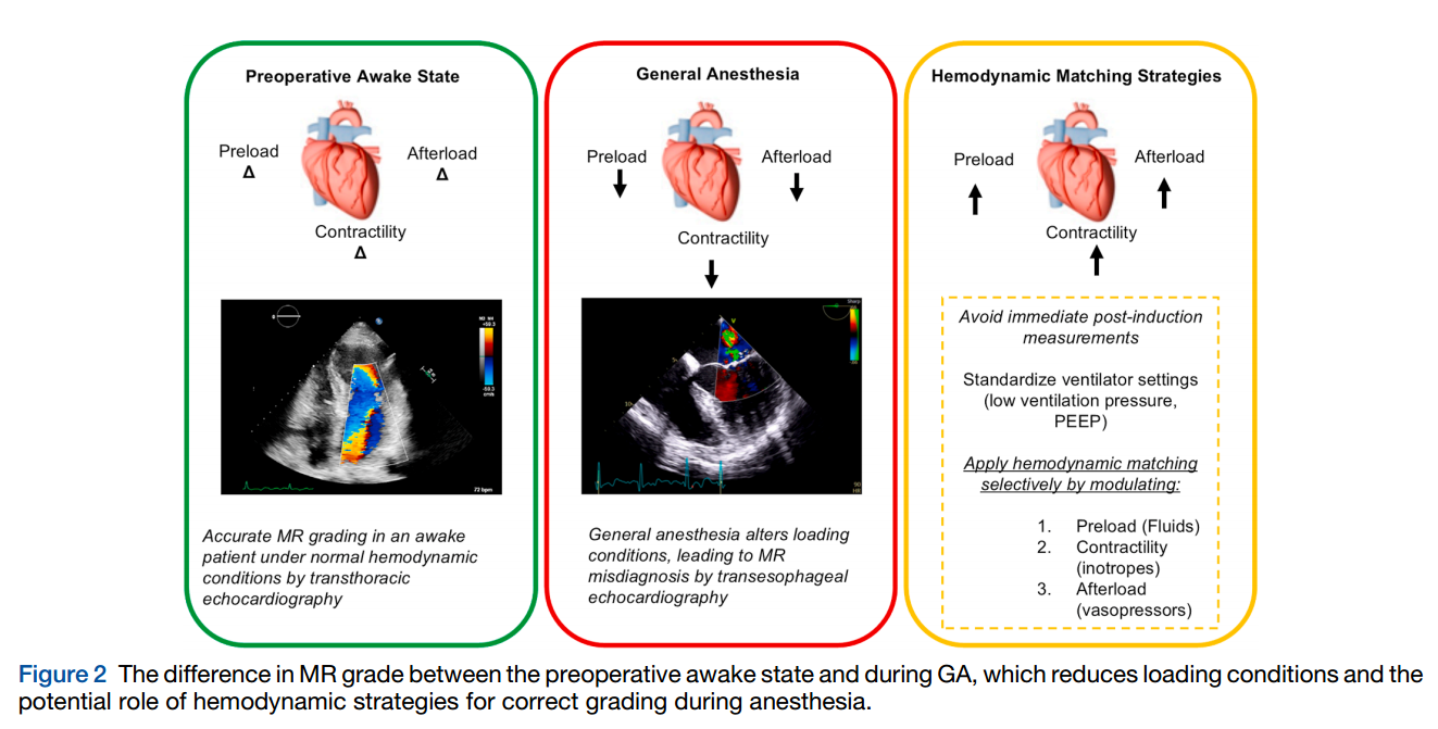 The Effect of General Anesthesia and Mechanical Ventilation on the Echocardiographic Evaluation of Cardiac Function