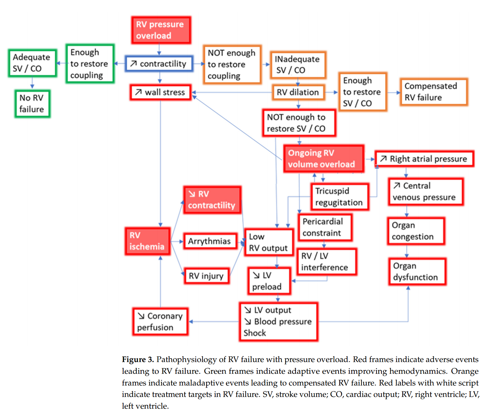 Pressure Overload and Right Ventricular Failure : From Pathophysiology ...