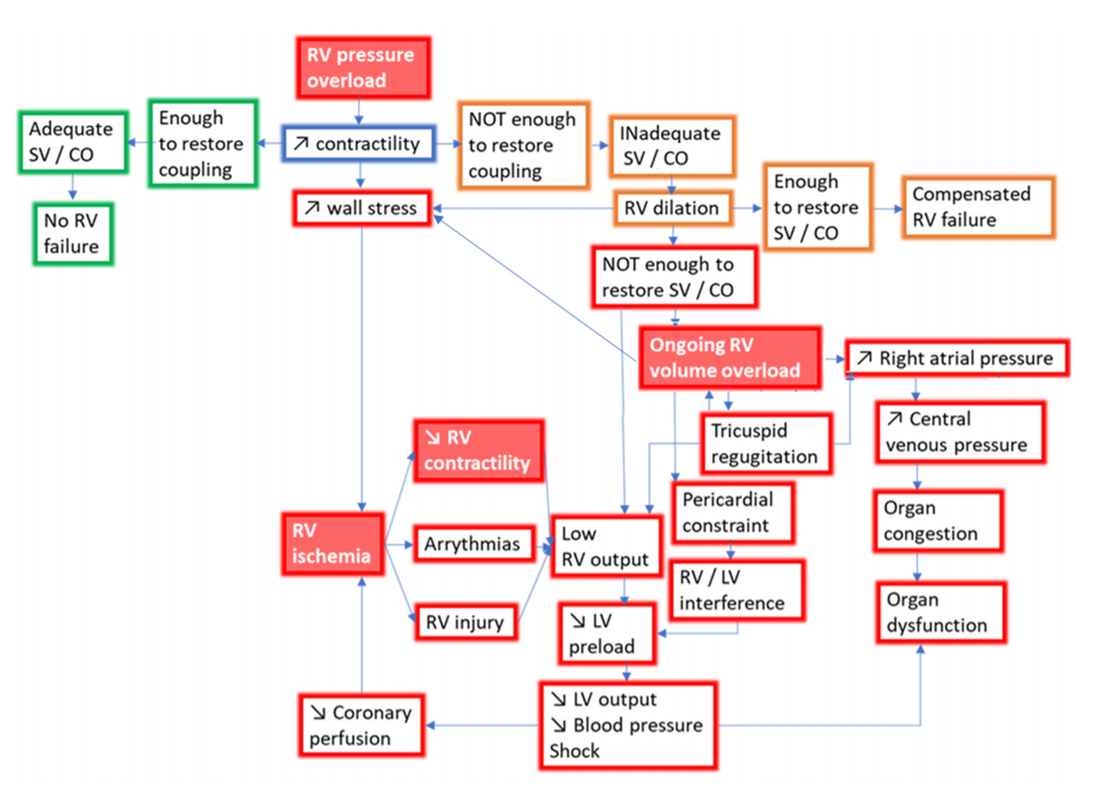 Pressure Overload and Right Ventricular Failure : From Pathophysiology to Treatment