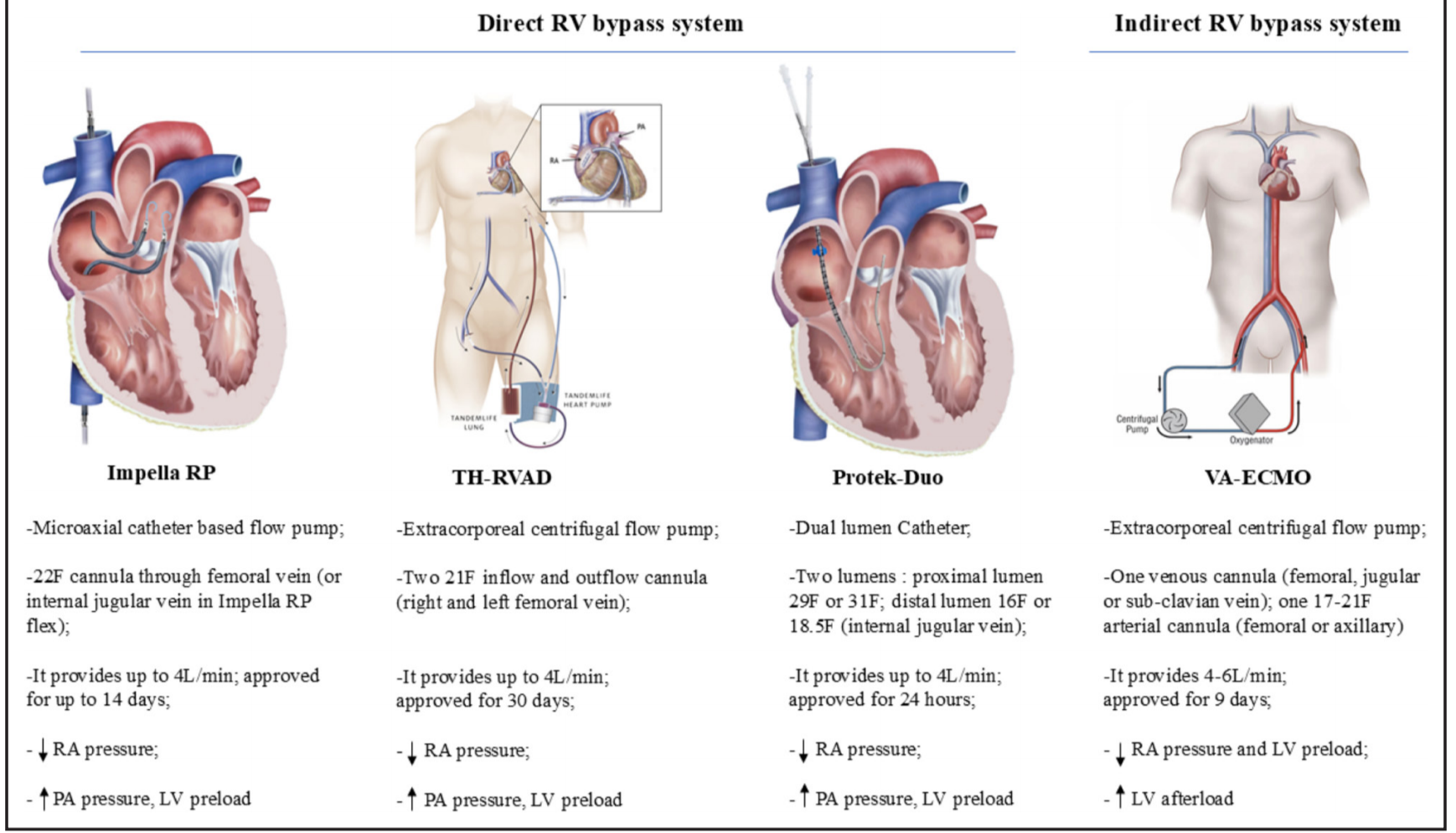 Gaps and Knowledge in the Contemporary Management of Acute Right Ventricular Failure