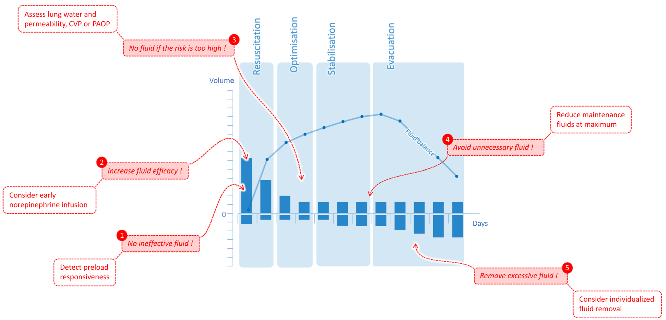 How I personalize fluid therapy in septic shock ?