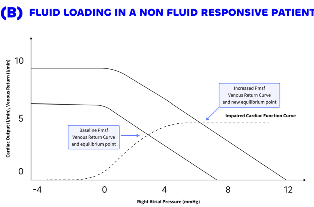 Venous return versus cardiac function : who drives the circulation ?