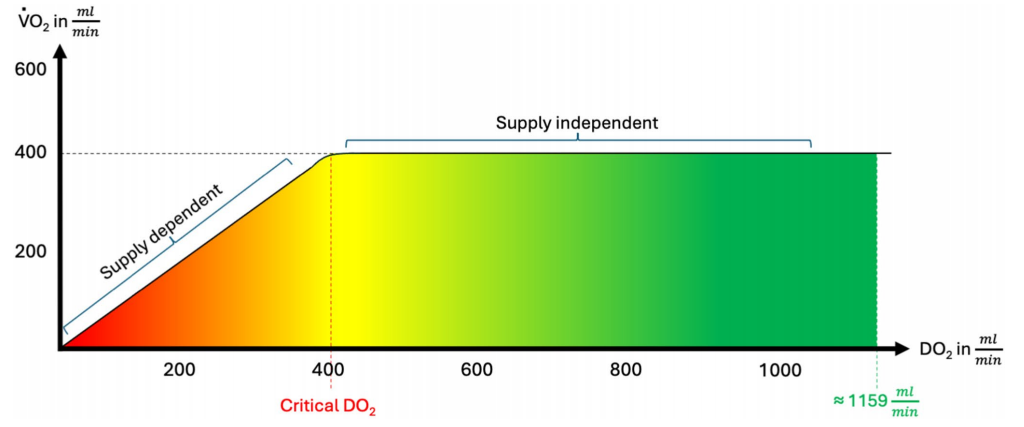 Hemodynamic monitoring : basic principles in operation room and intensive care unit