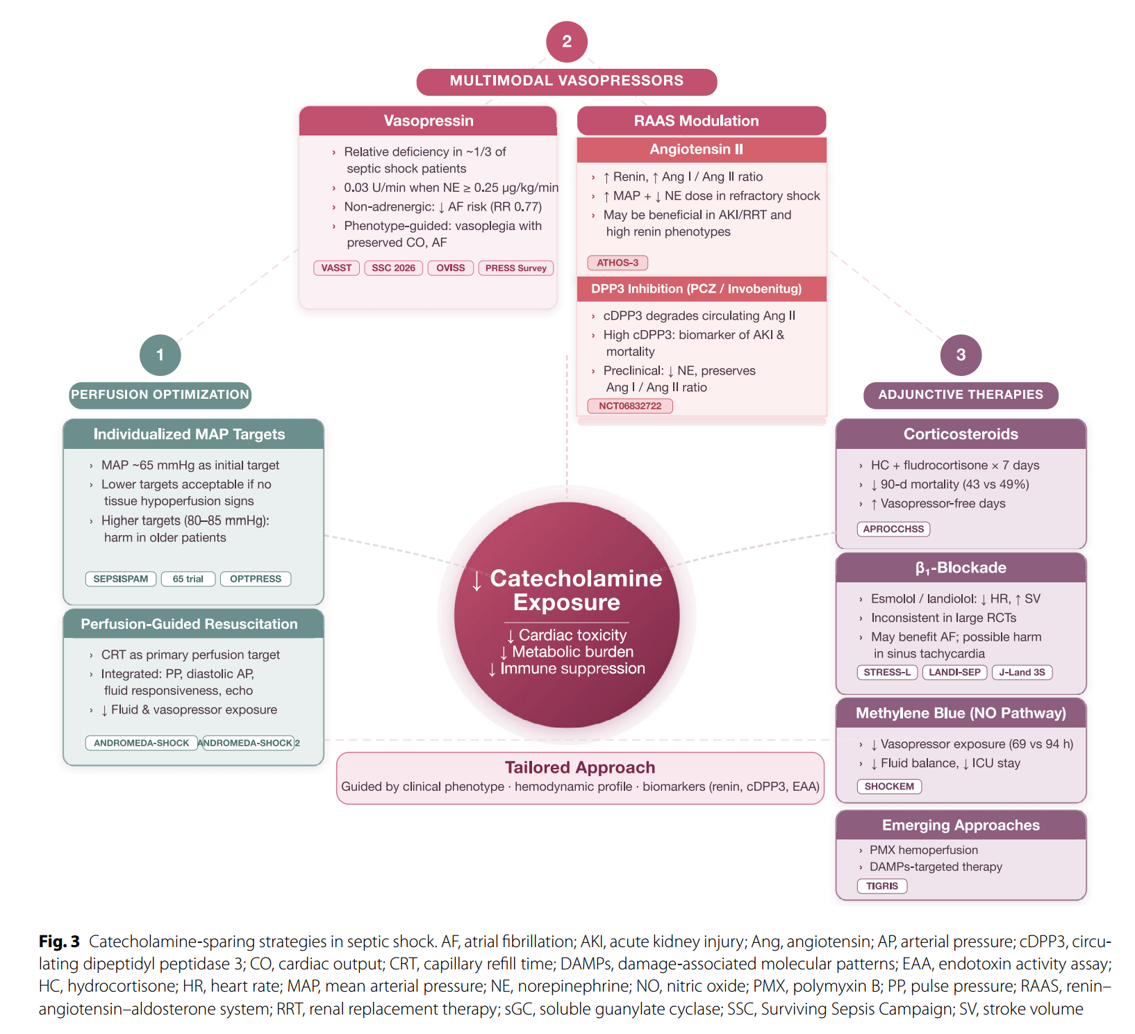 Current and future strategies aiming at reducing catecholamine exposure in septic shock