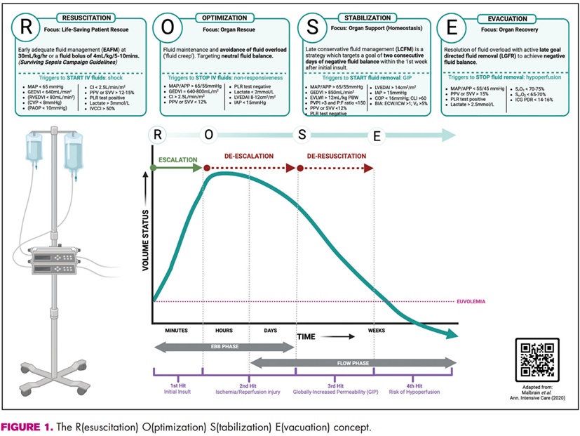 Advances in resuscitation and deresuscitation — Critical care insights