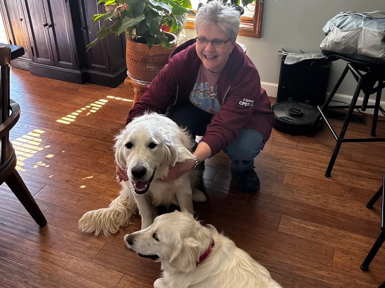 A woman with short gray hair and glasses, wearing a maroon jacket and a T-shirt, is squatting down indoors and smiling as she interacts with two golden retrievers on a wooden floor. One dog is sitting, and the other is lying down, both appearing happy.