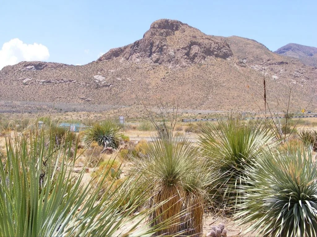 Portfolio image 4.jpg