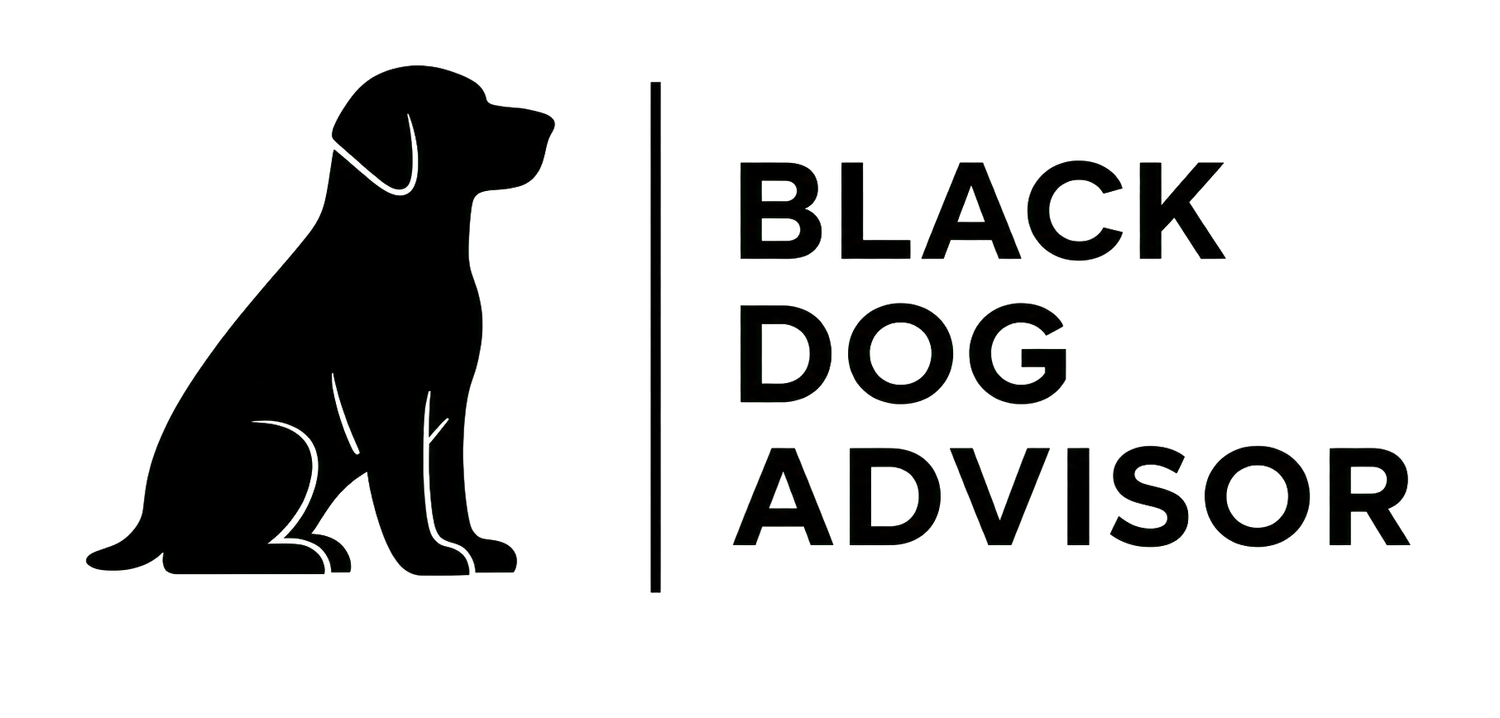 Black Dog Financial