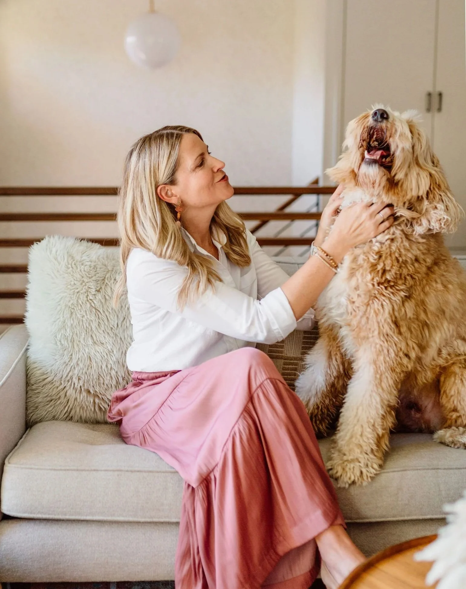 A pet-friendly mid-century modern living room.