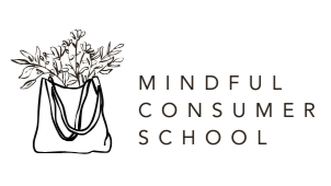 The Mindful Consumer School