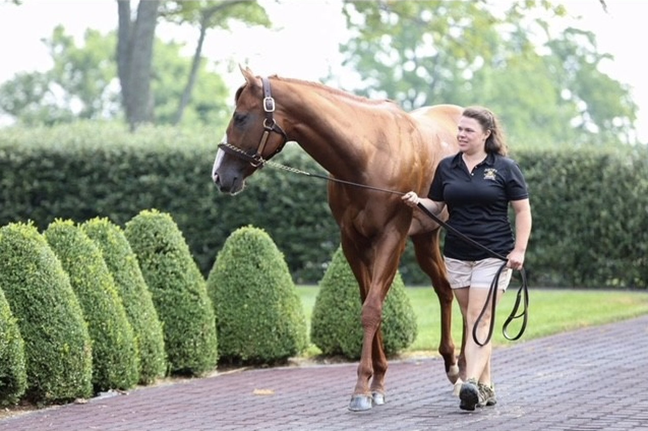 Screenshot 2025-10-22 at 3.44.09 PM.png