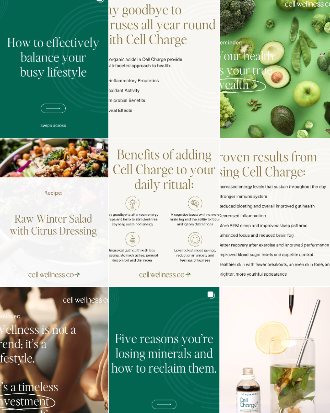 brooke abel montempe digital marketing brand strategy