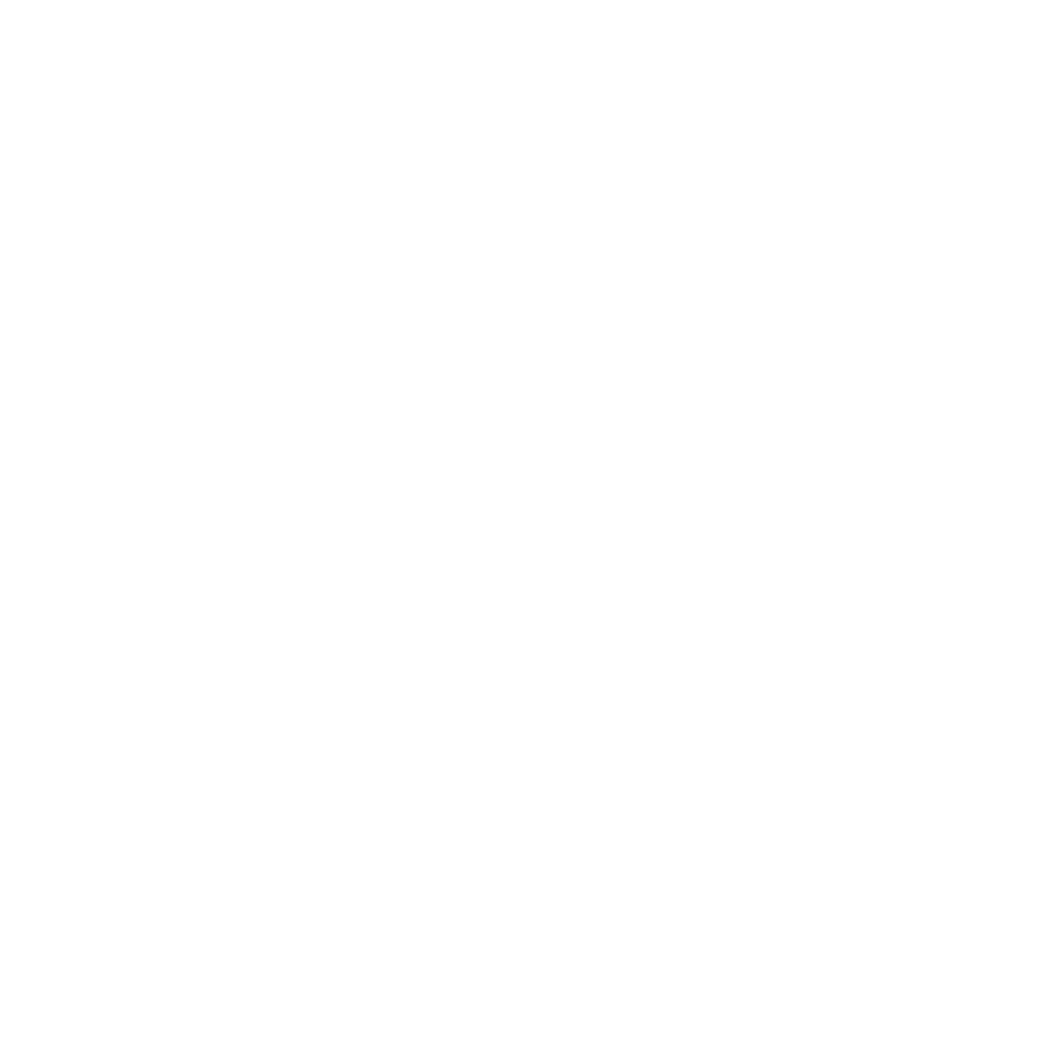 Black and white minimalist illustration of a mountain with a flag at the peak.