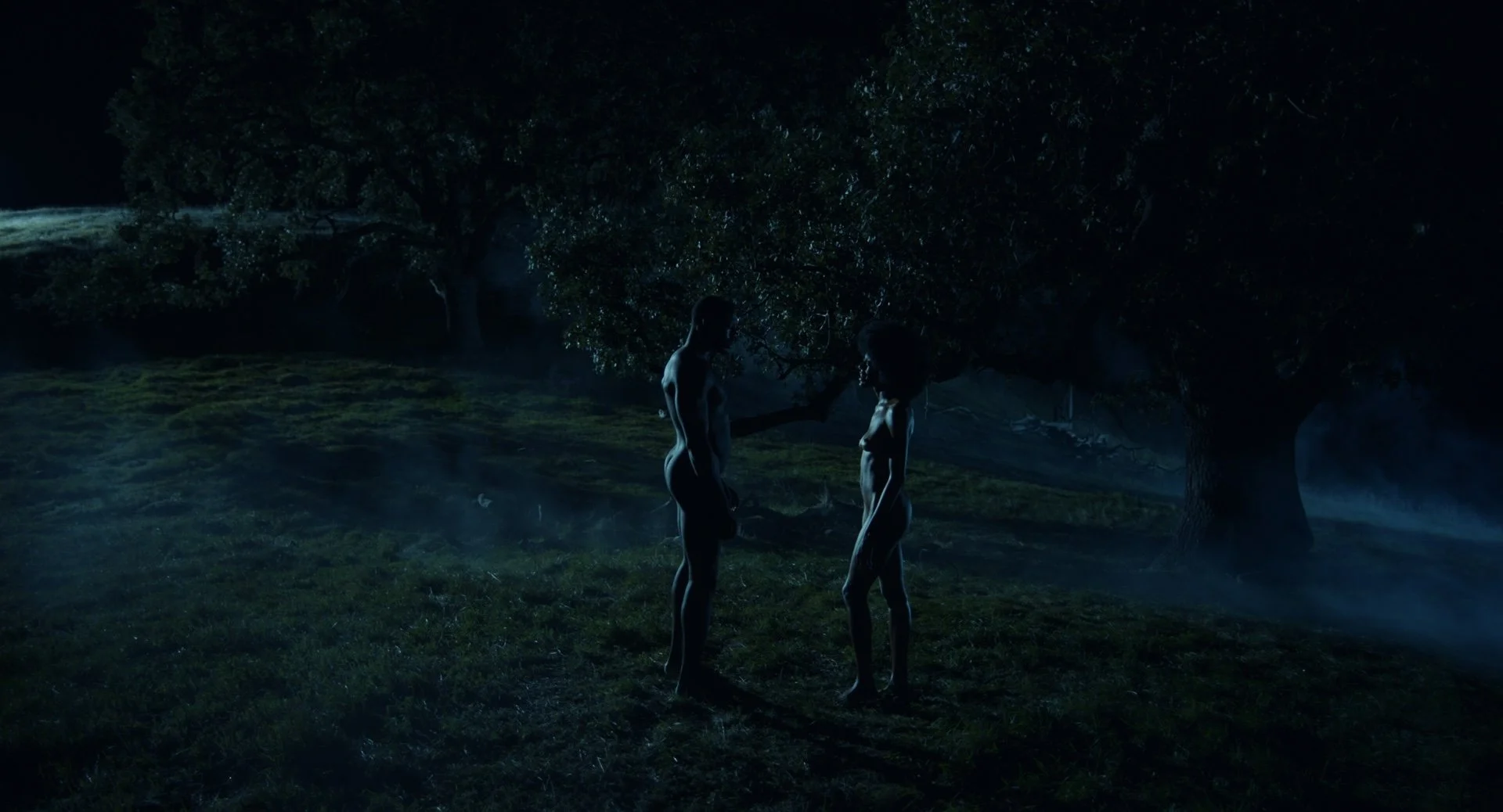 Night Wide_2.1.1.jpg