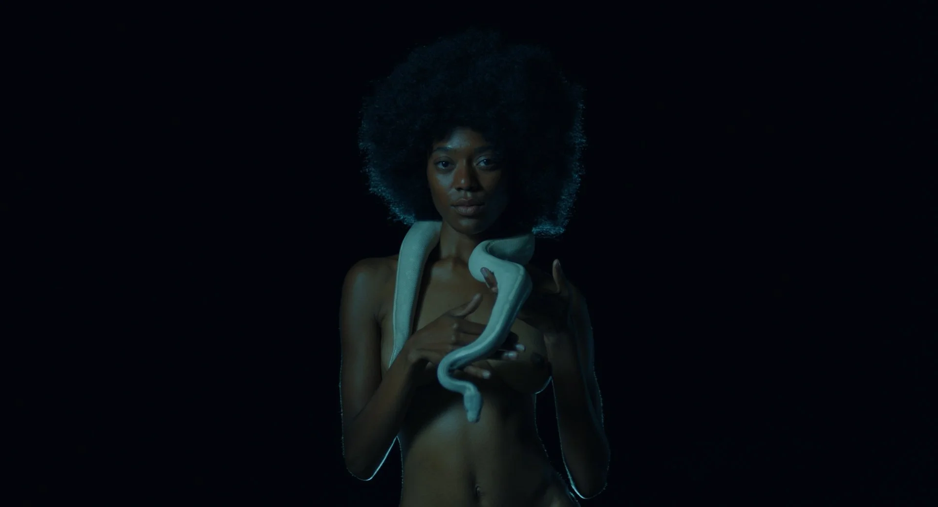 Mushrooms Night _1.12.3.JPG