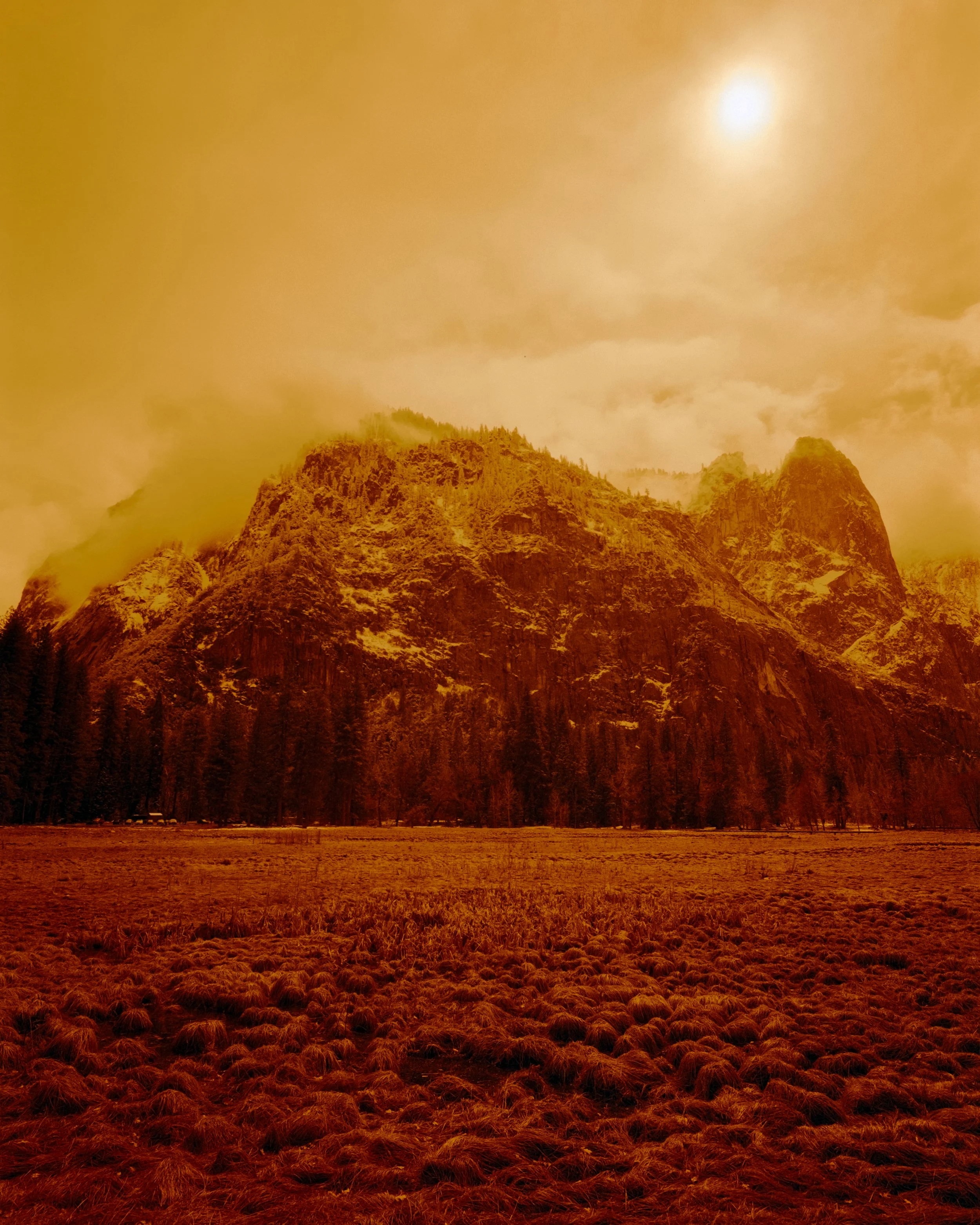 Yosemite Redrum-3.jpg