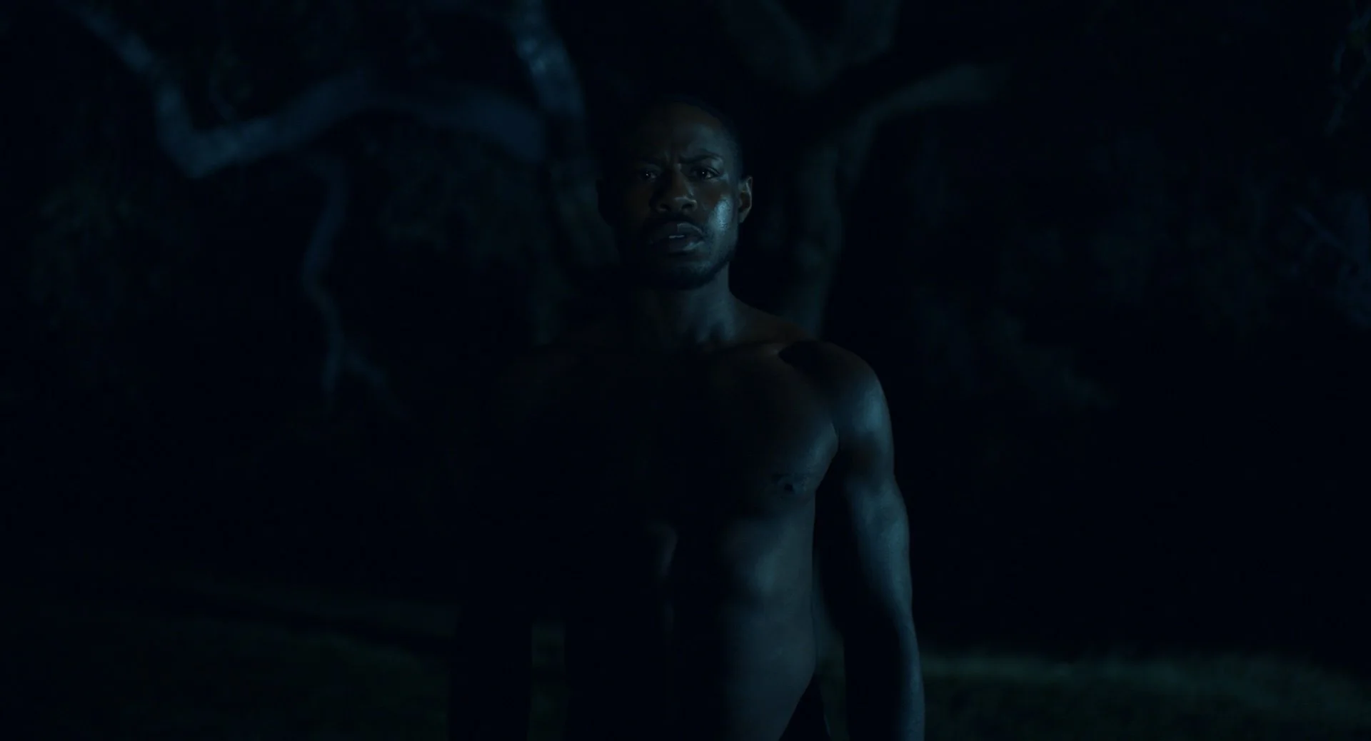 Mushrooms Night _1.1.1.jpg