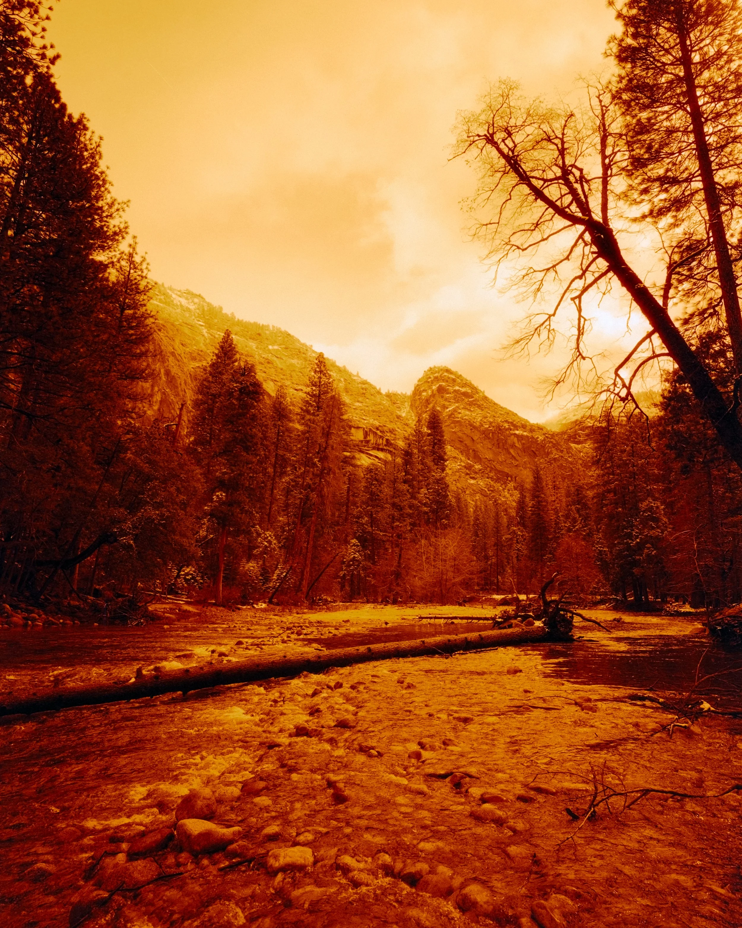 Yosemite Redrum-2.jpg