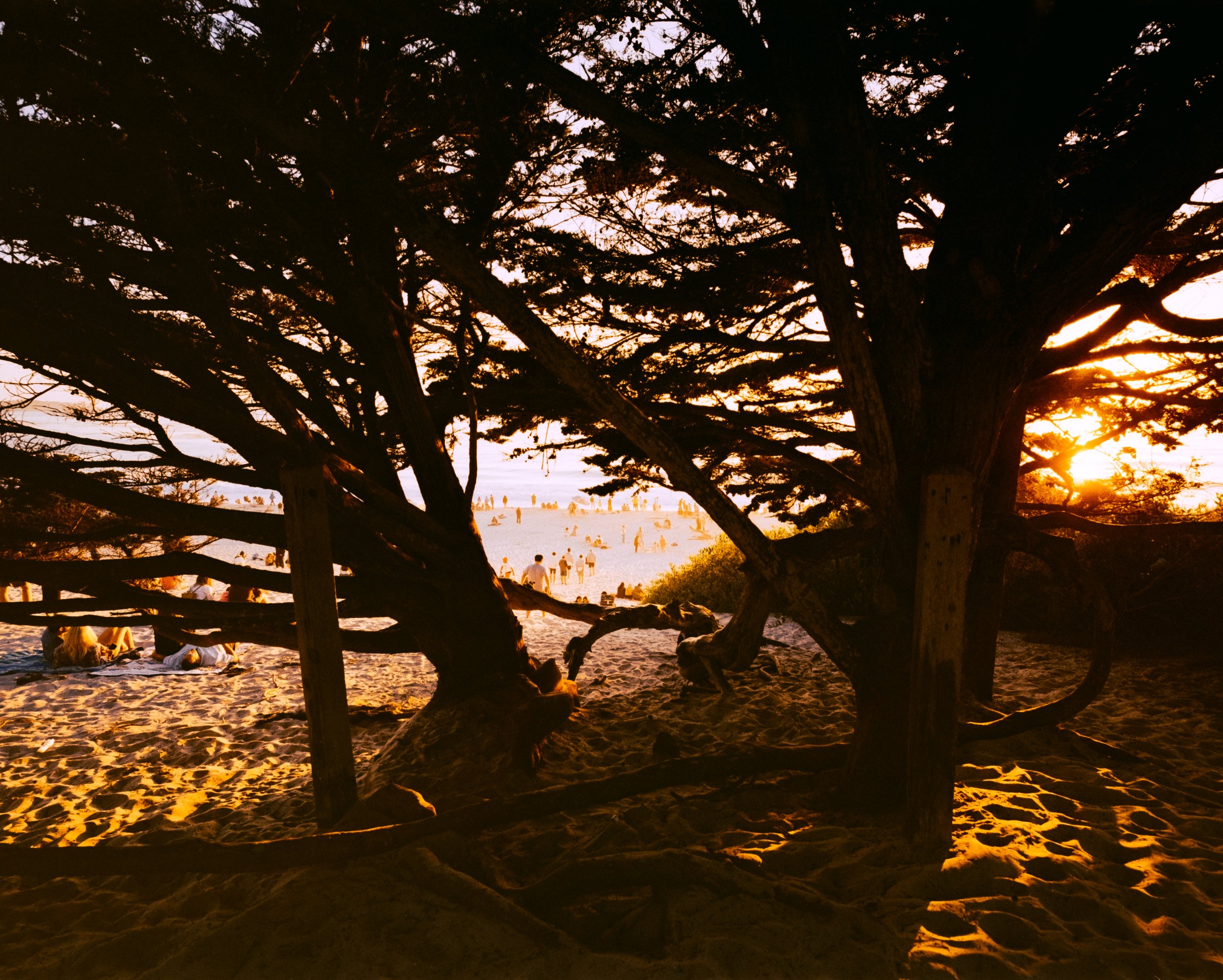 big Sur Pro 400h.jpg