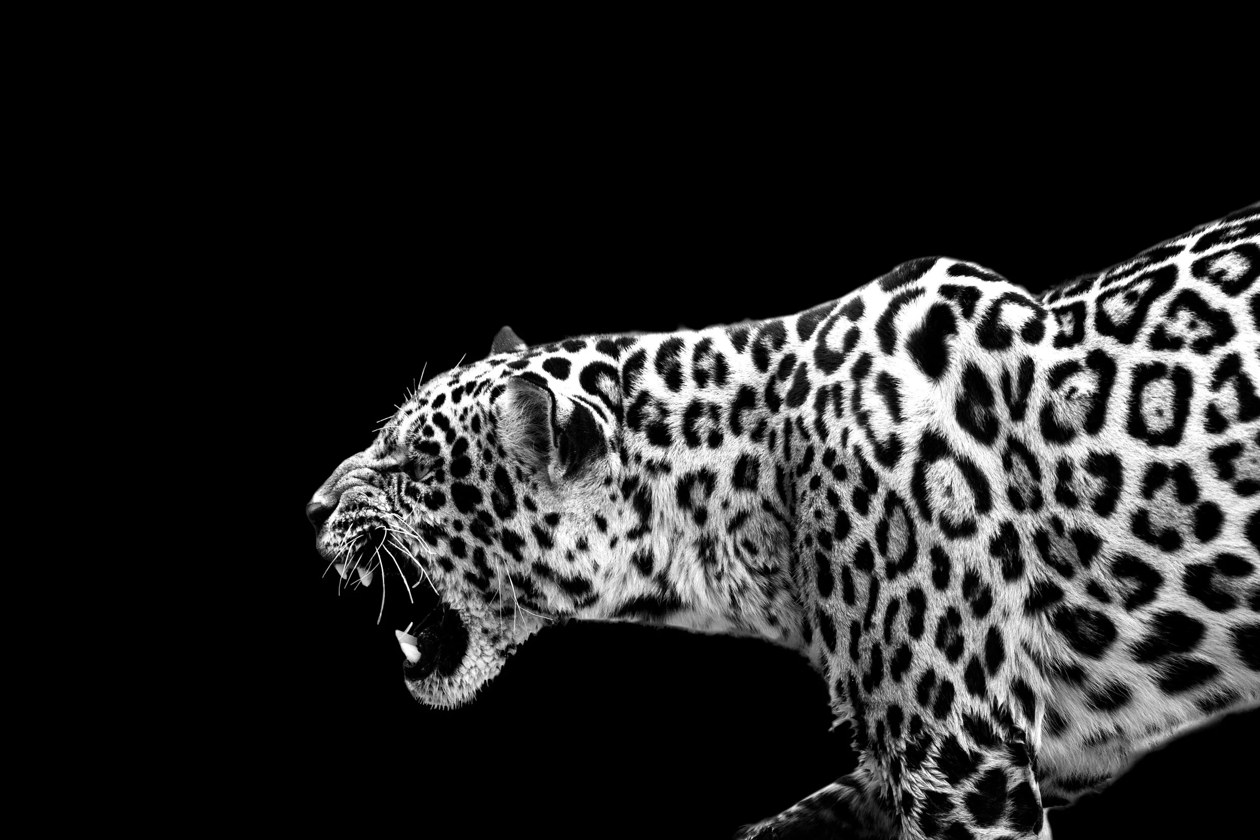 Beauty Brand Redo - Sonora Studios