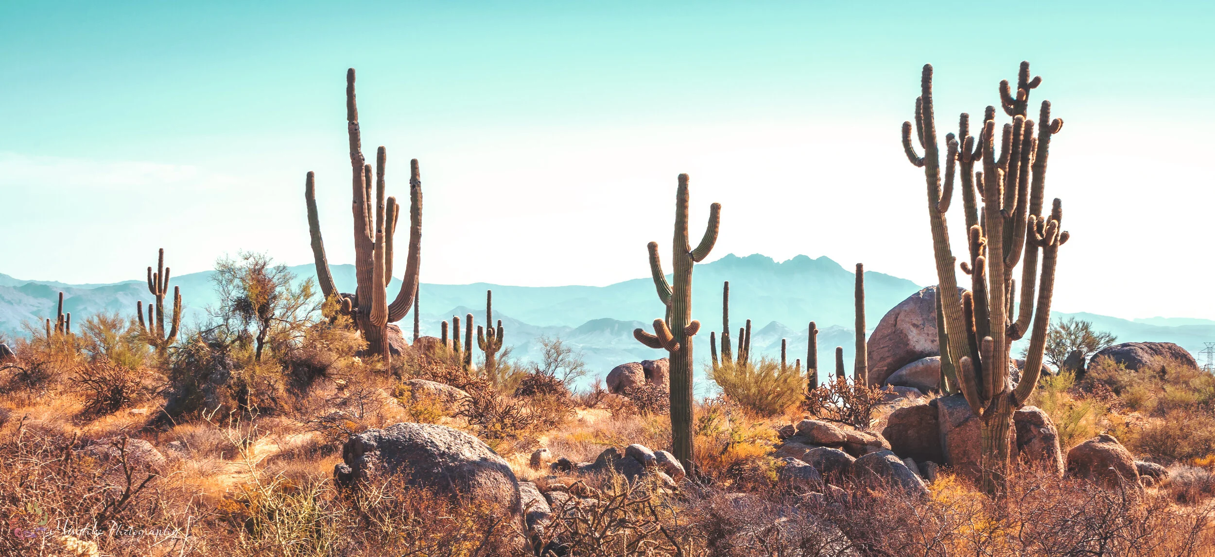 Arizona Desert Design Project - Sonora Studios