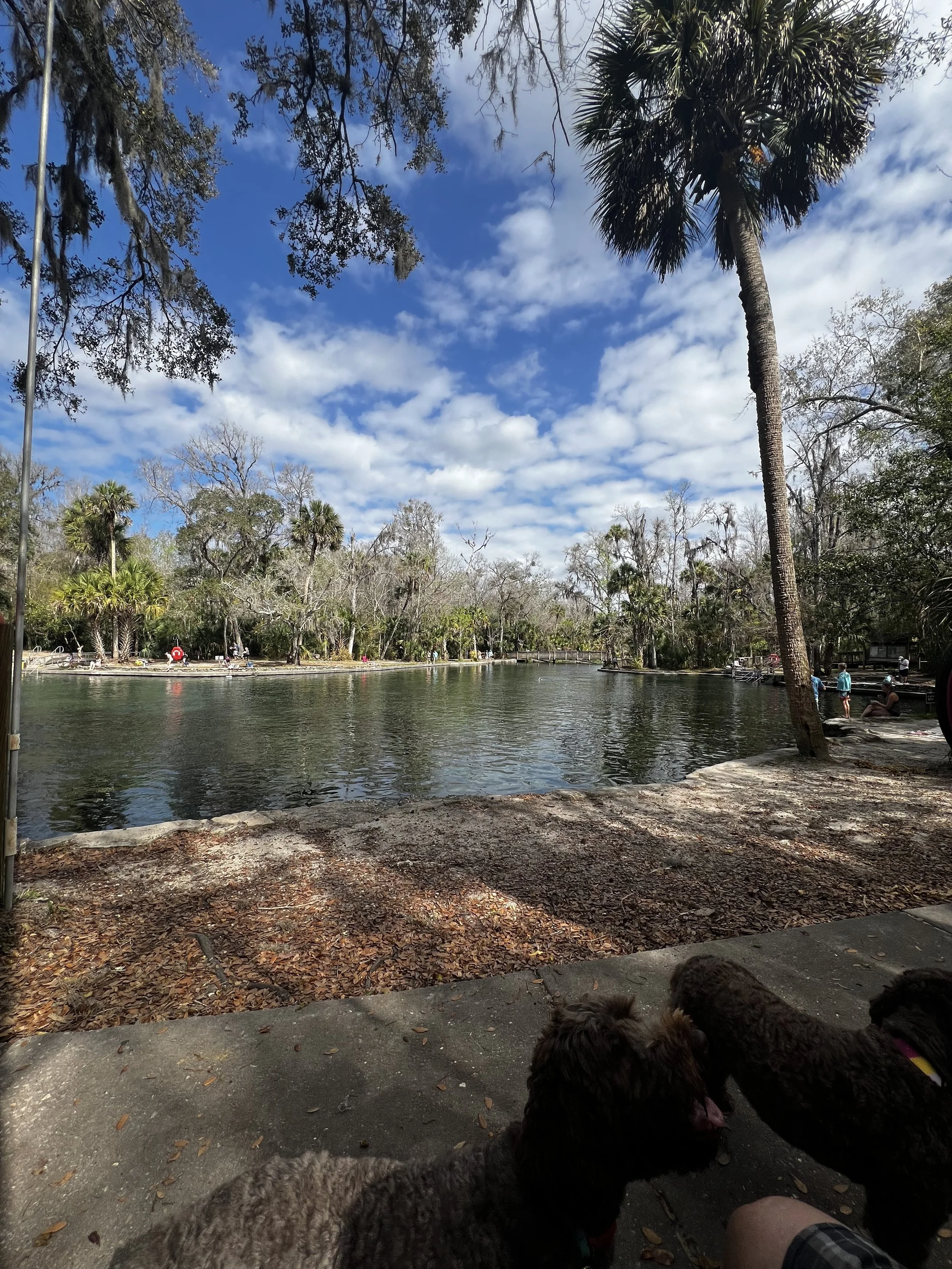 Wekiwa Springs State Park
Apopka, FL
