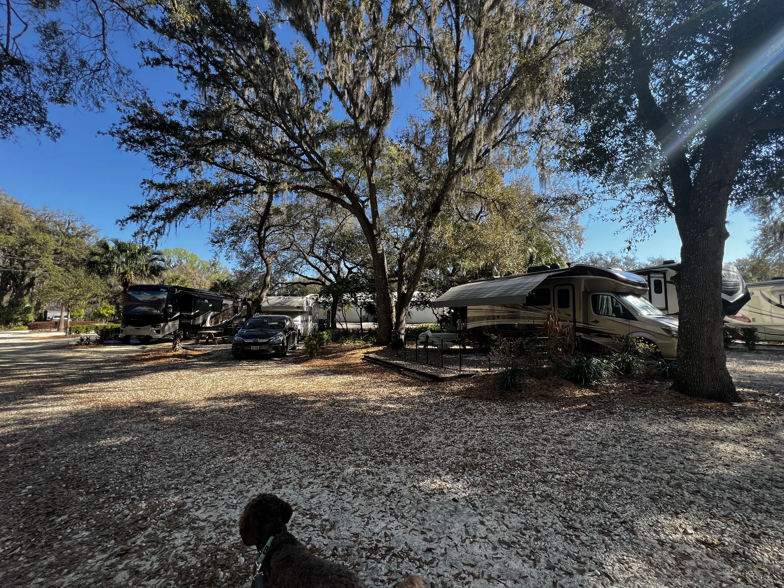 The Cove Pub &amp; Campground, Inverness, FL 