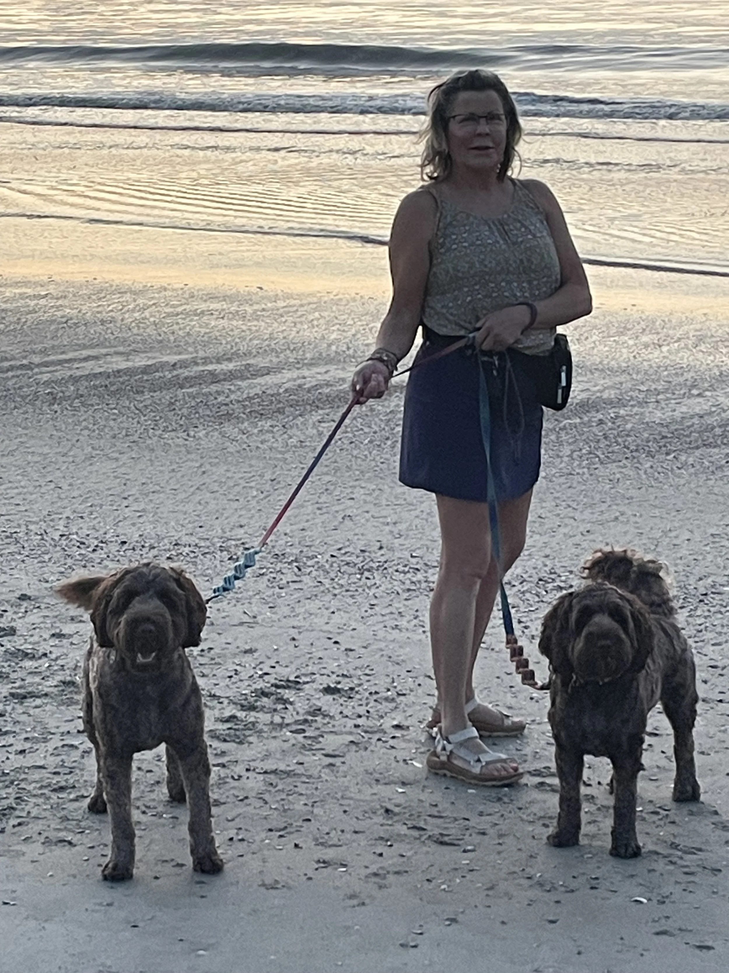 Training Tips for Well-Behaved RV Dogs